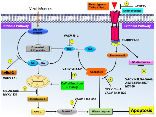 Pathogens 10 00006 g002 550