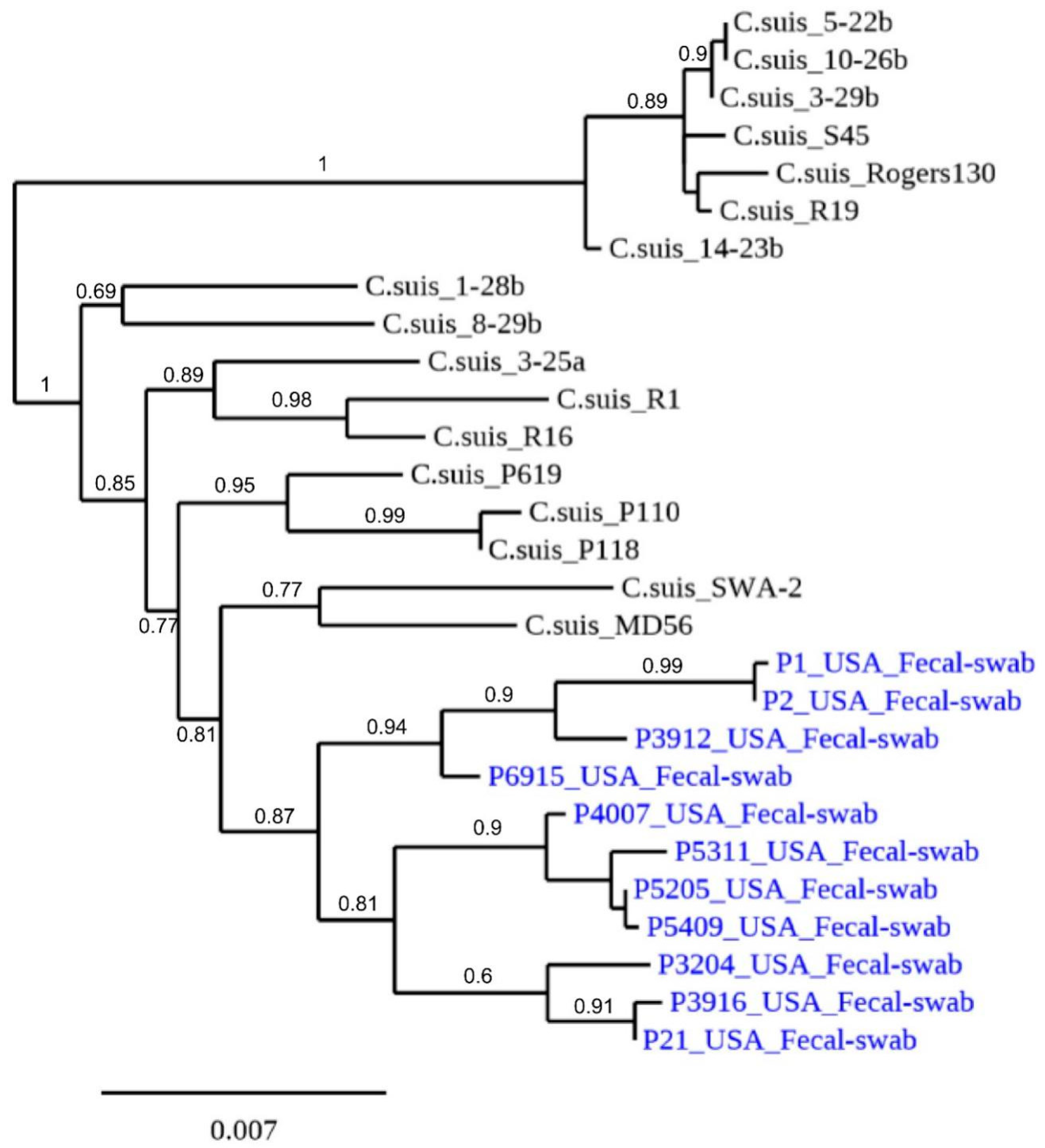 Pathogens 10 00011 g003 Pathogens 10 00011 g003