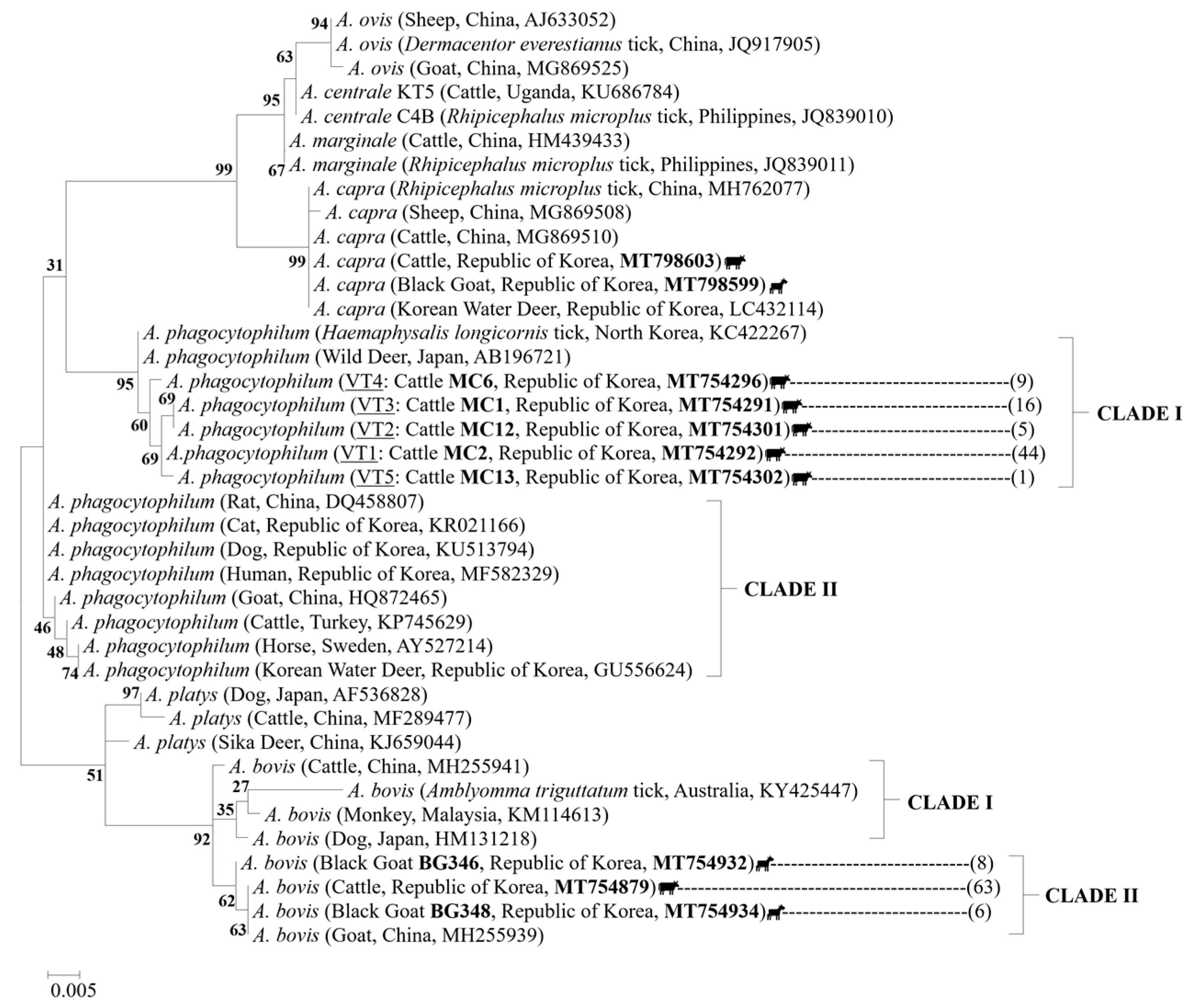 Pathogens 10 00028 g003 Pathogens 10 00028 g003
