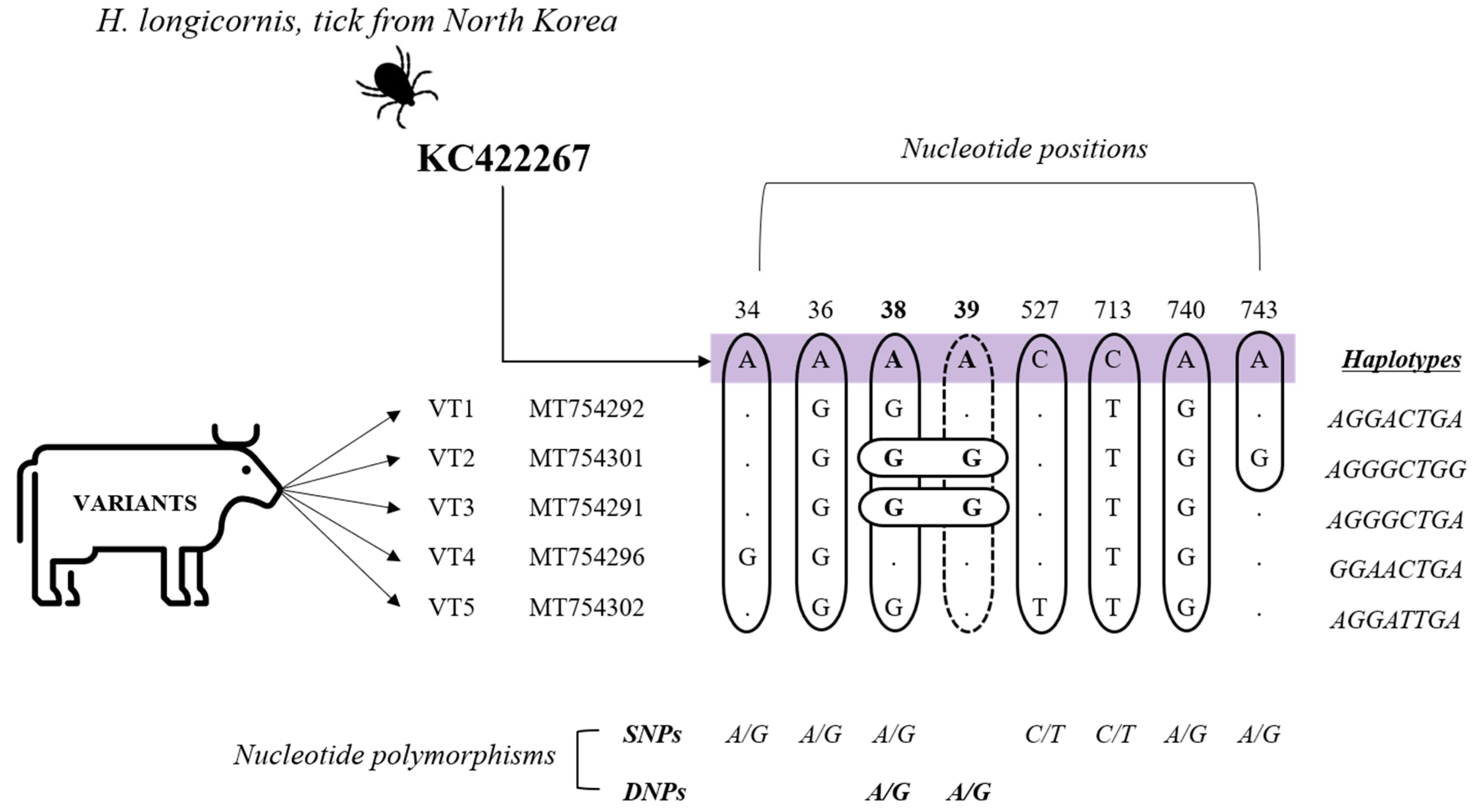 Pathogens 10 00028 g004 Pathogens 10 00028 g004