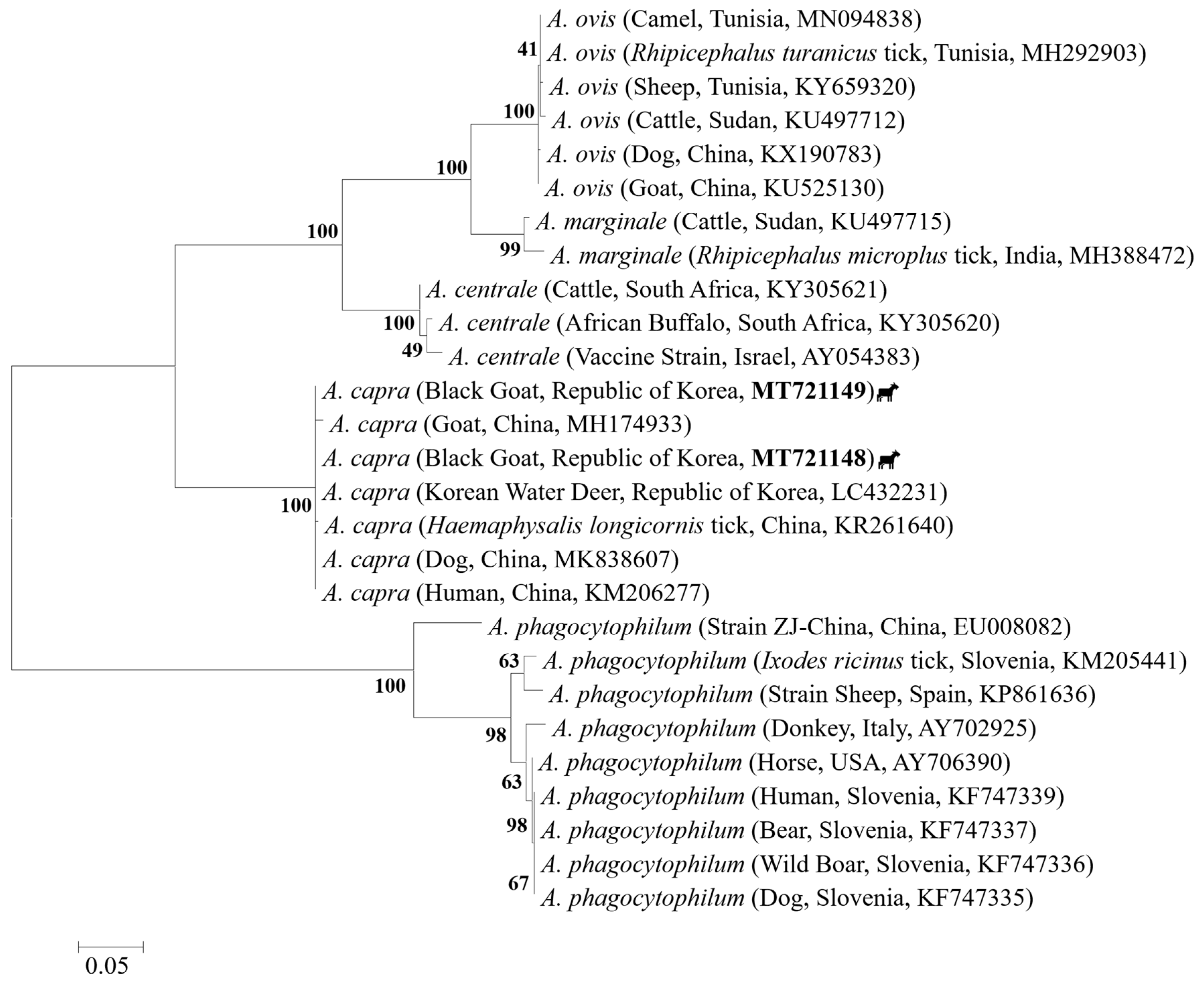Pathogens 10 00028 g005 Pathogens 10 00028 g005