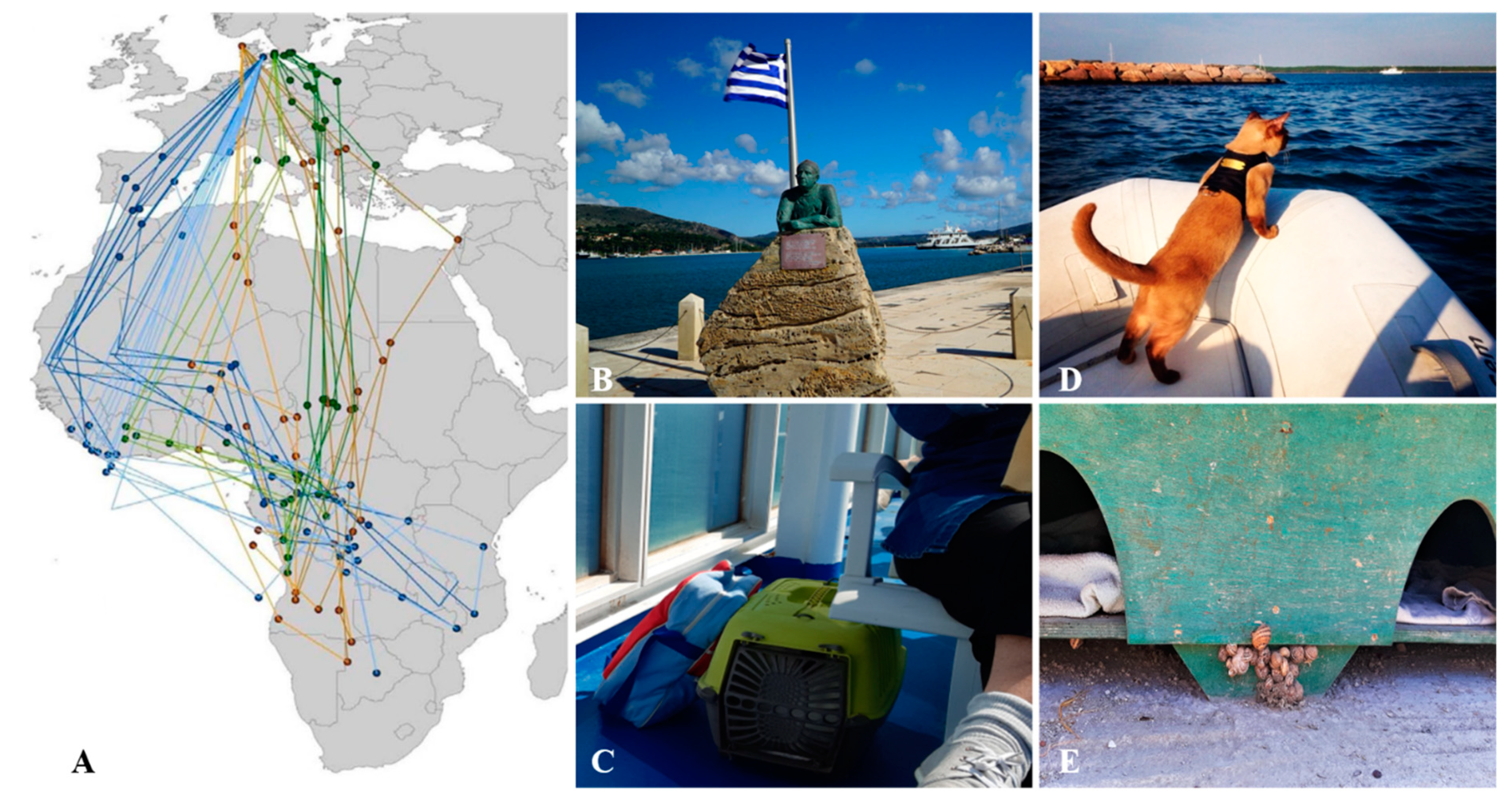 Pathogens 10 00030 g003