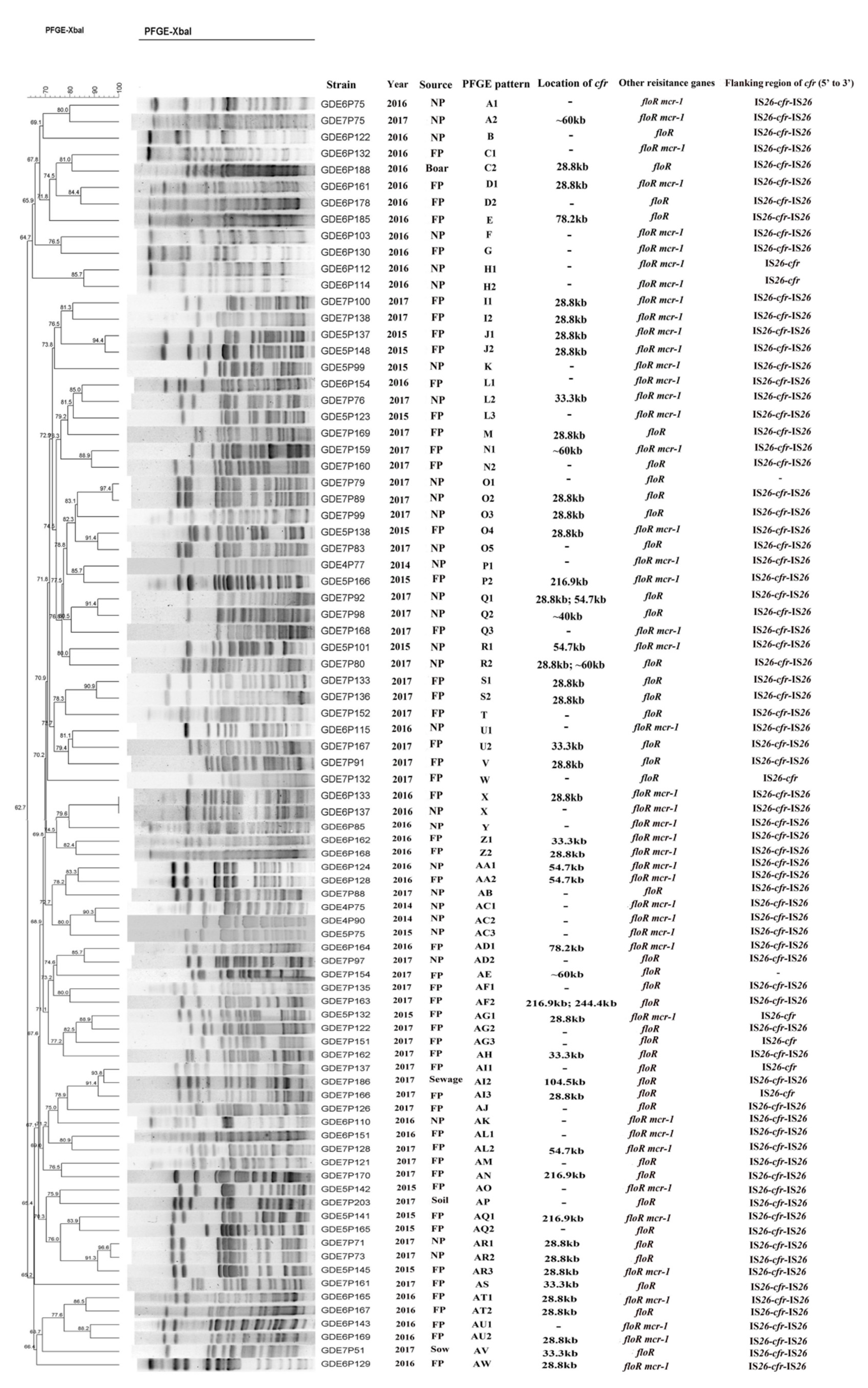 Pathogens 10 00033 g002