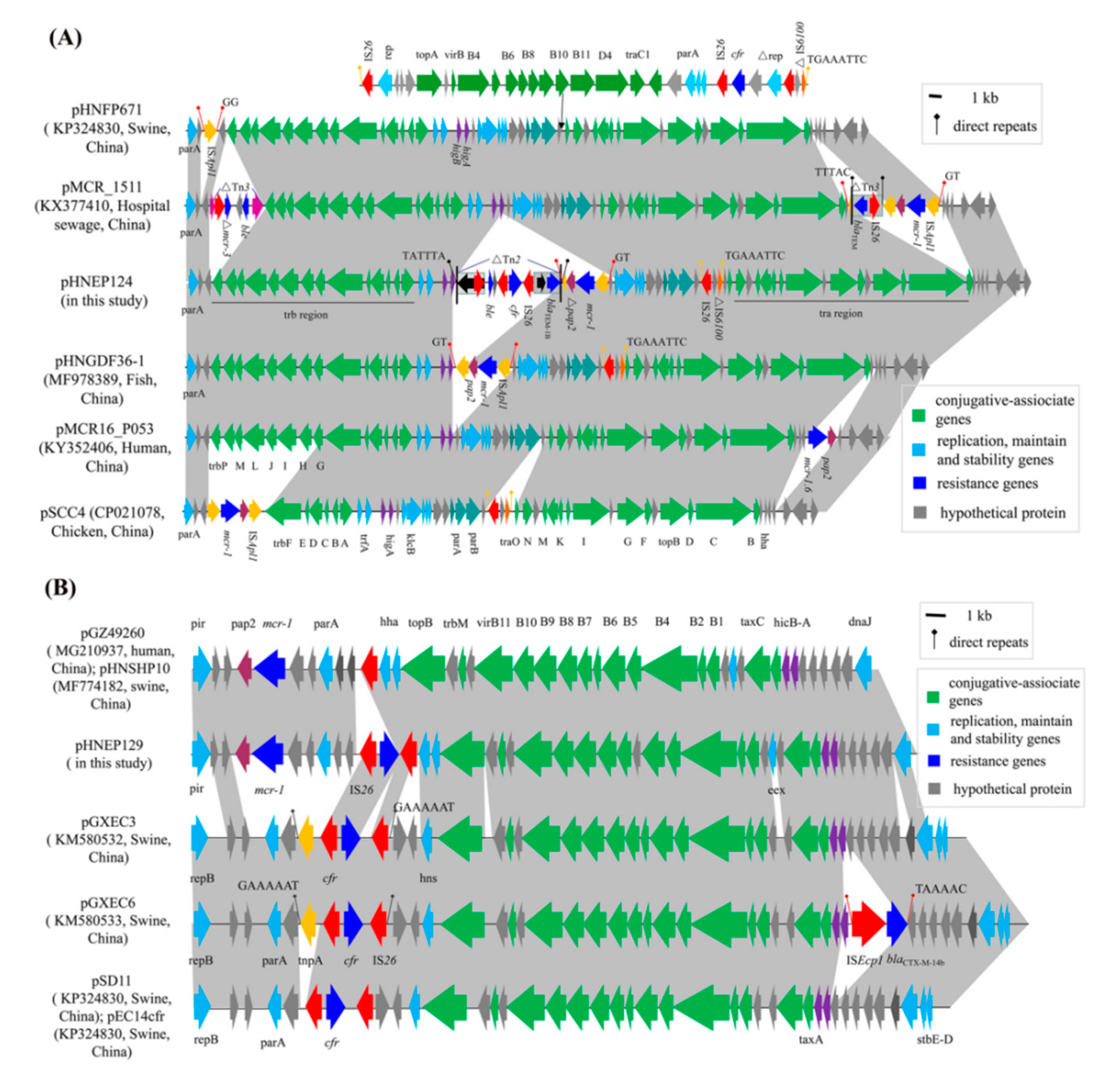 Pathogens 10 00033 g003