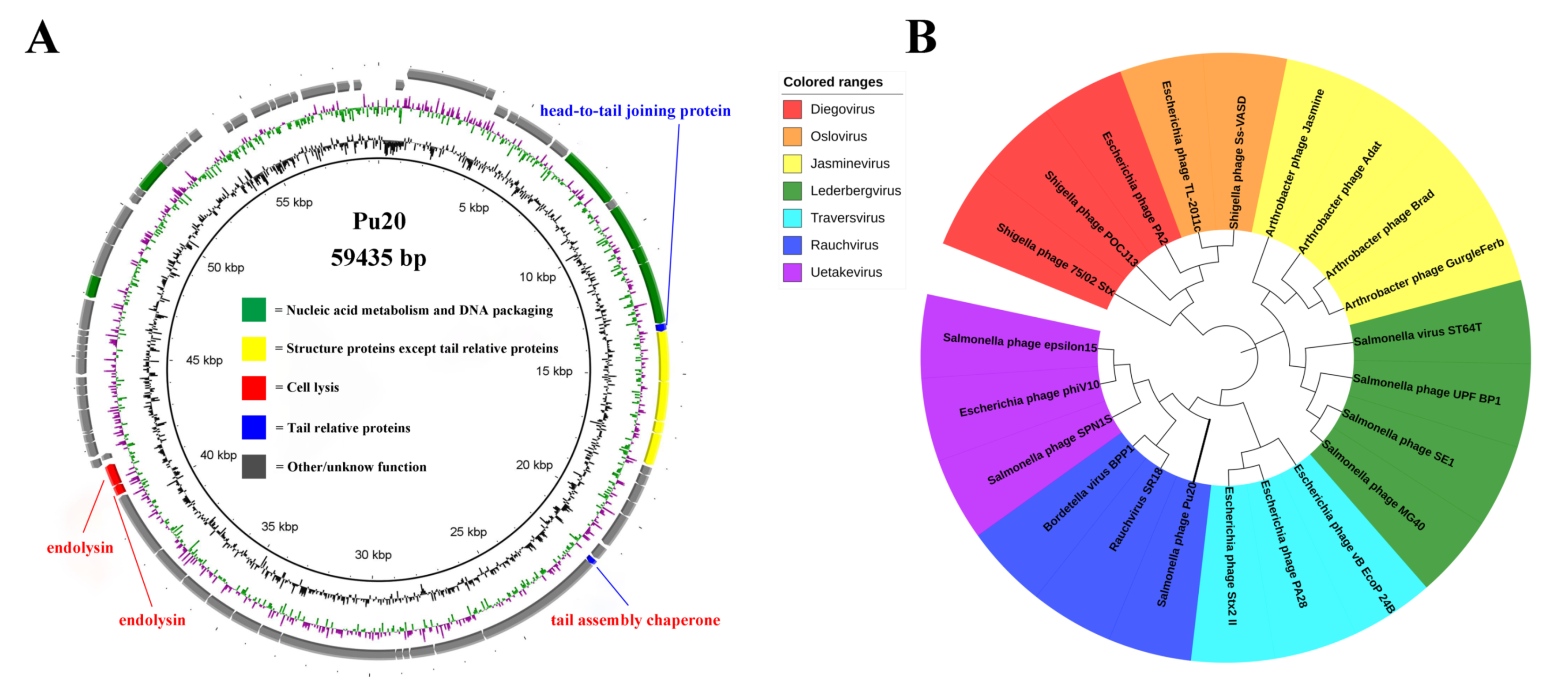 Pathogens Free Full Text Application Of A Novel Lytic Podoviridae Phage Pu For Biological Control Of Drug Resistant Salmonella In Liquid Eggs Html Pathogens Free Full Text Application Of A Novel Lytic Podoviridae Phage Pu For Biological Control Of Drug Resistant Salmonella In Liquid Eggs Html