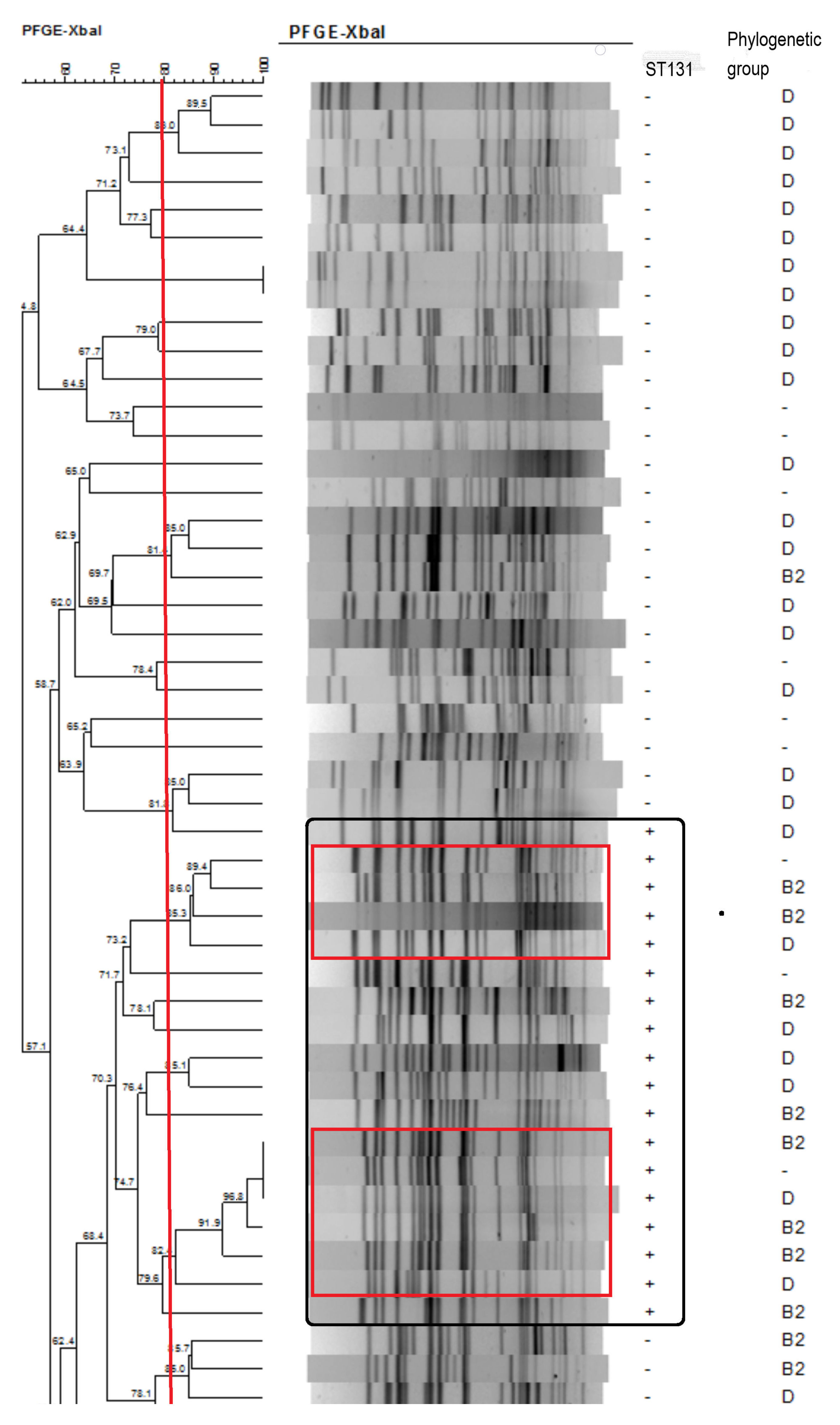 Pathogens 10 00037 g001 Pathogens 10 00037 g001