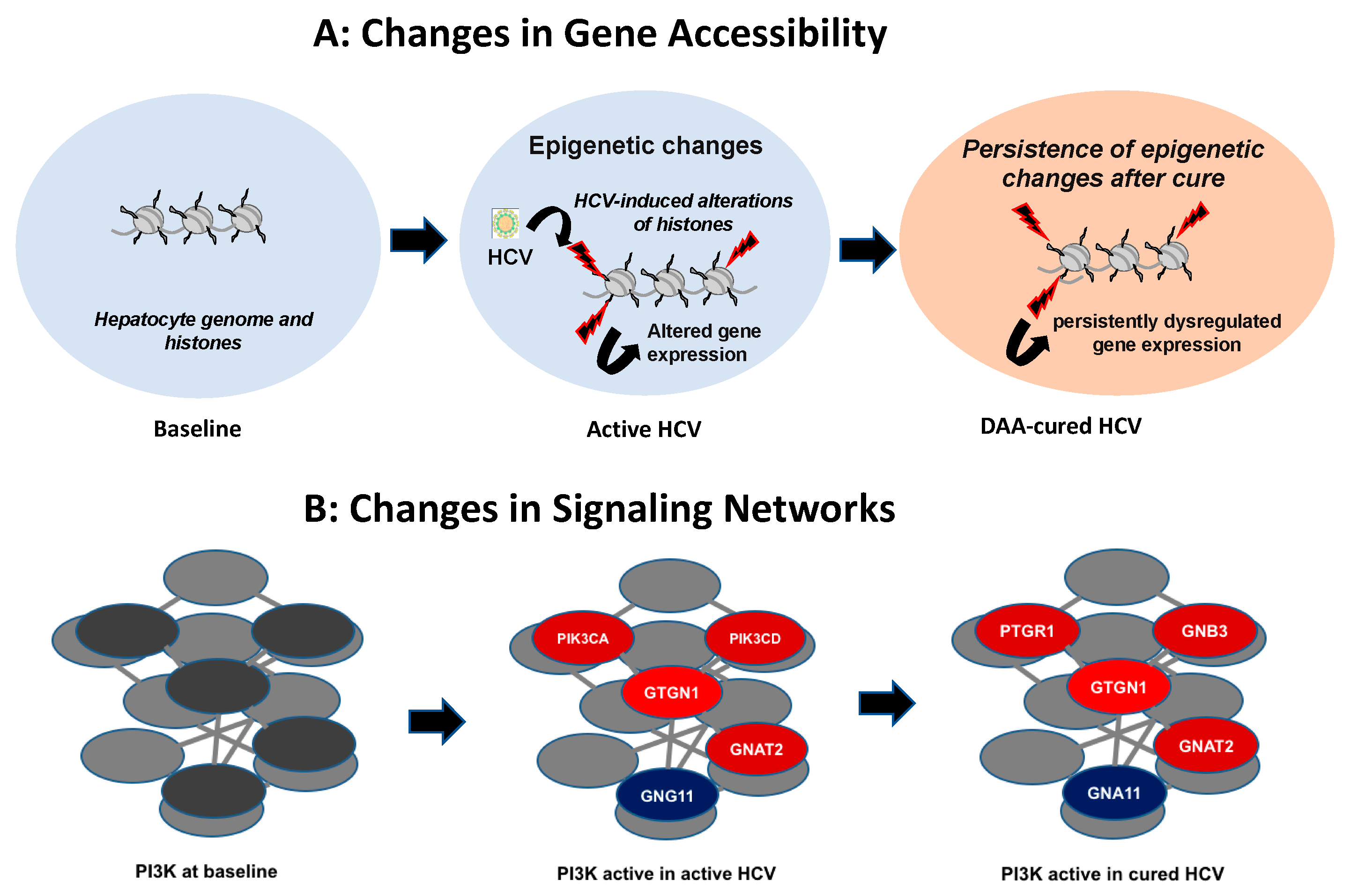 Pathogens 10 00044 g001 Pathogens 10 00044 g001