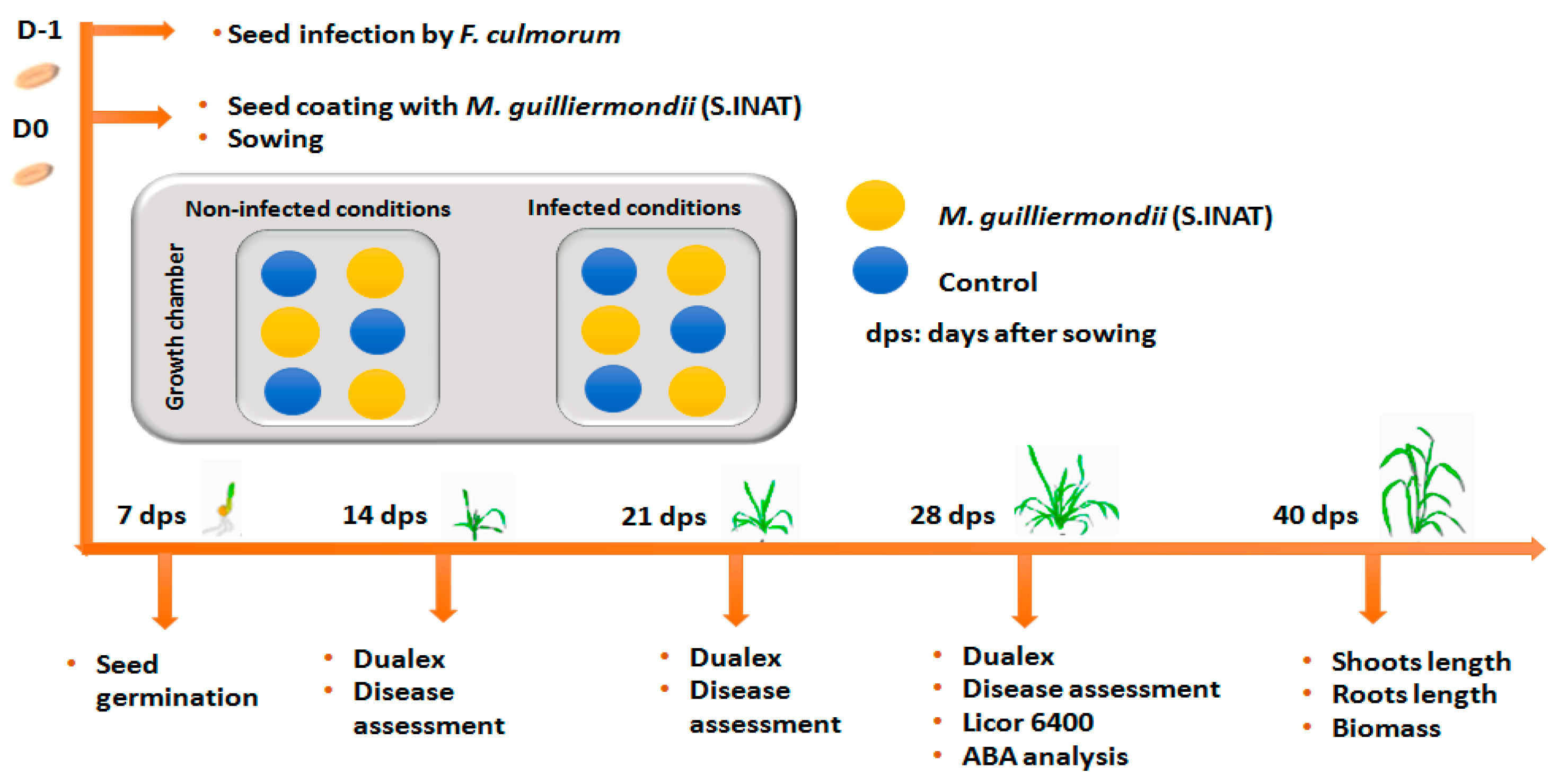 Pathogens 10 00052 g004