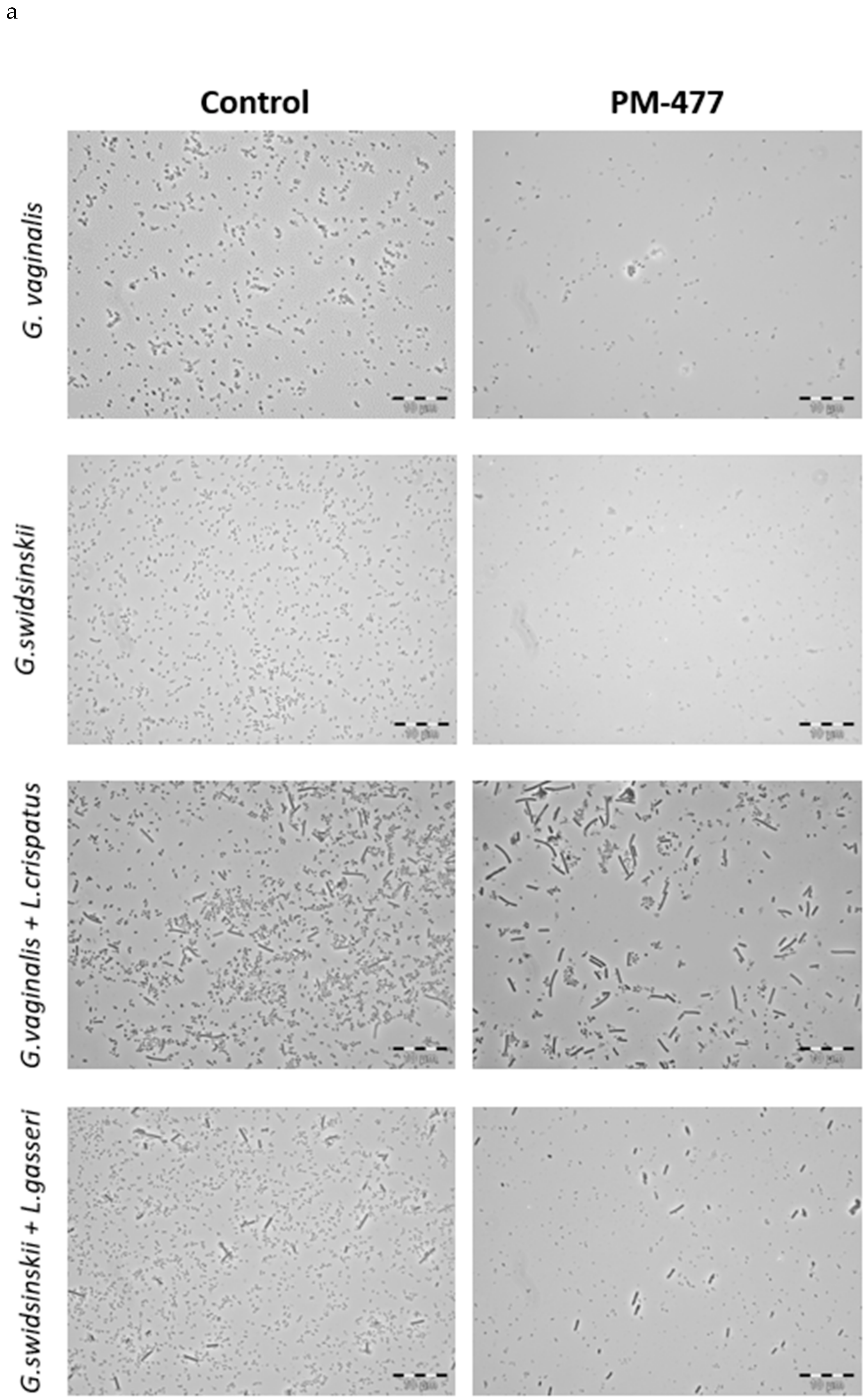 Pathogens 10 00054 g004a Pathogens 10 00054 g004a