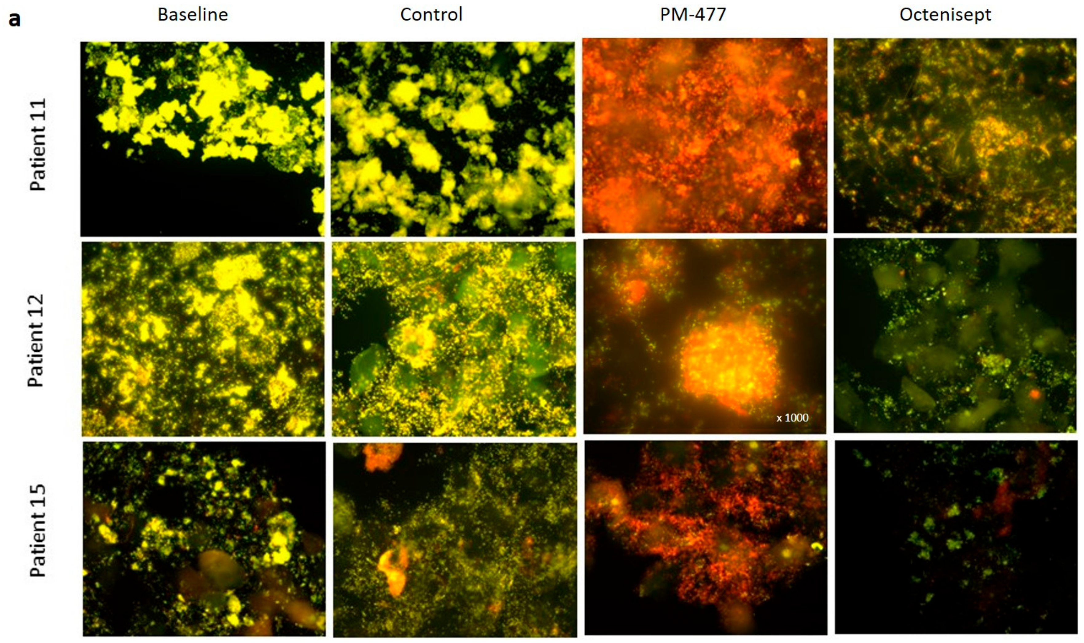 Pathogens 10 00054 g005a Pathogens 10 00054 g005a