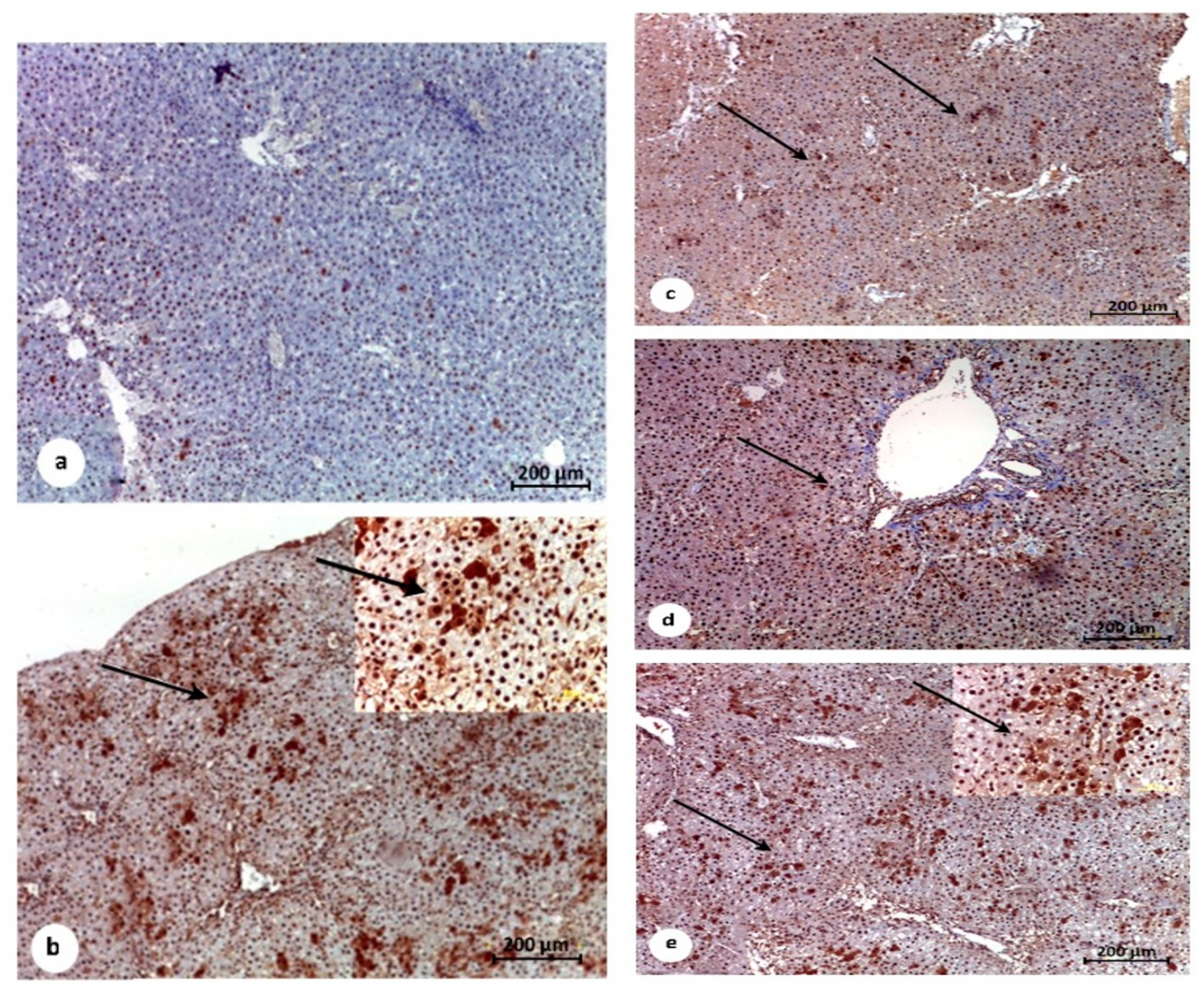 Pathogens 10 00059 g008 Pathogens 10 00059 g008