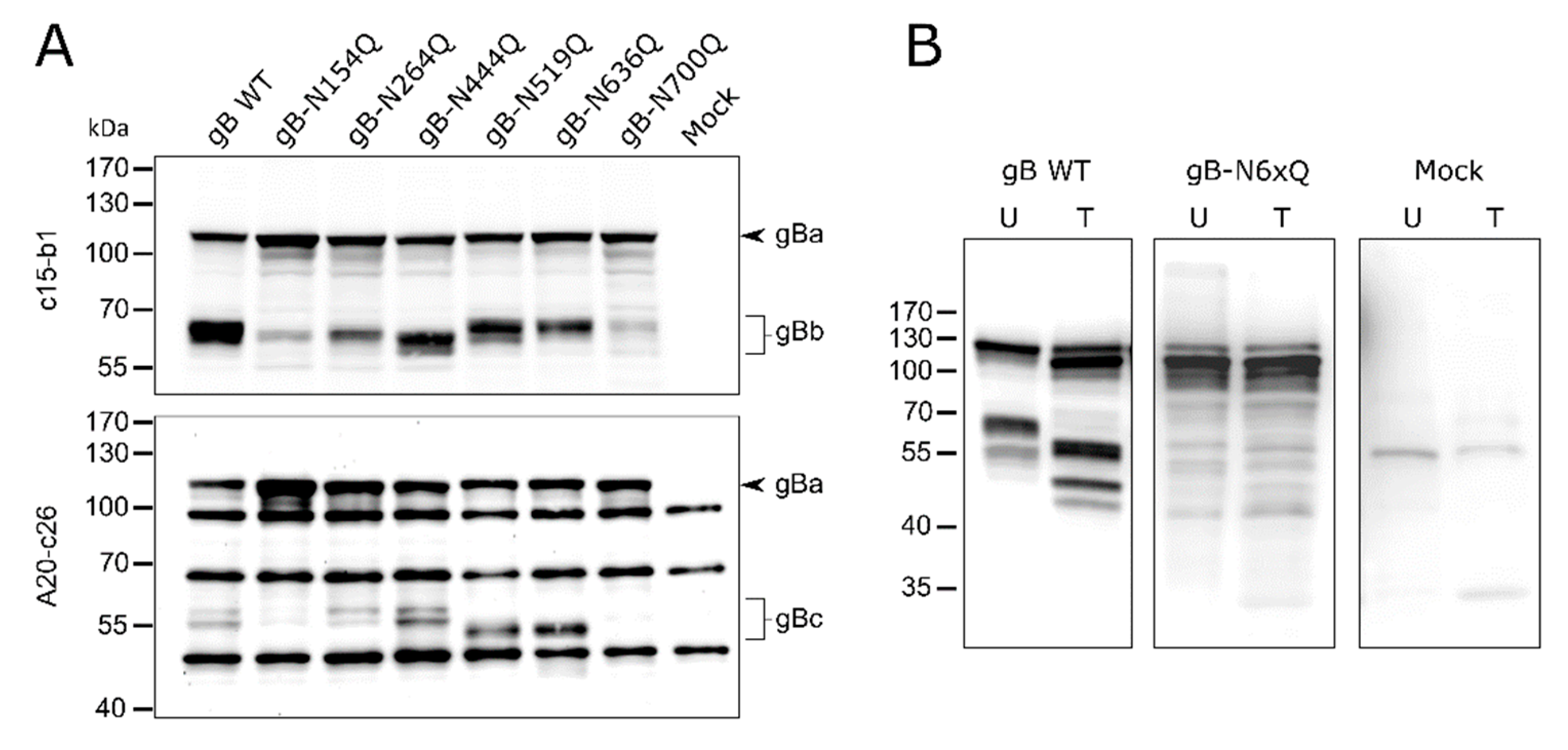 Pathogens 10 00061 g002 Pathogens 10 00061 g002