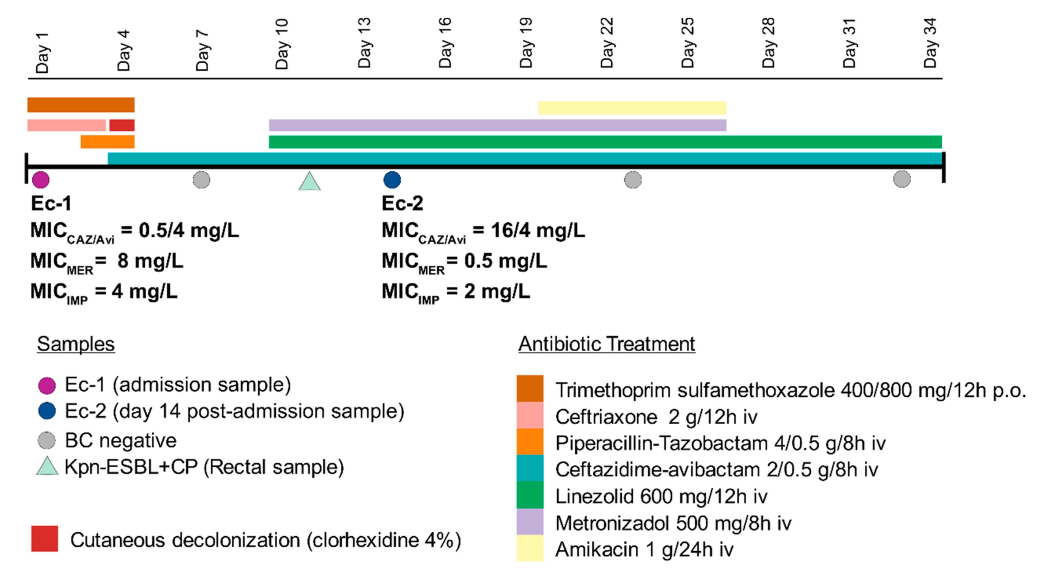 Pathogens 10 00067 g001