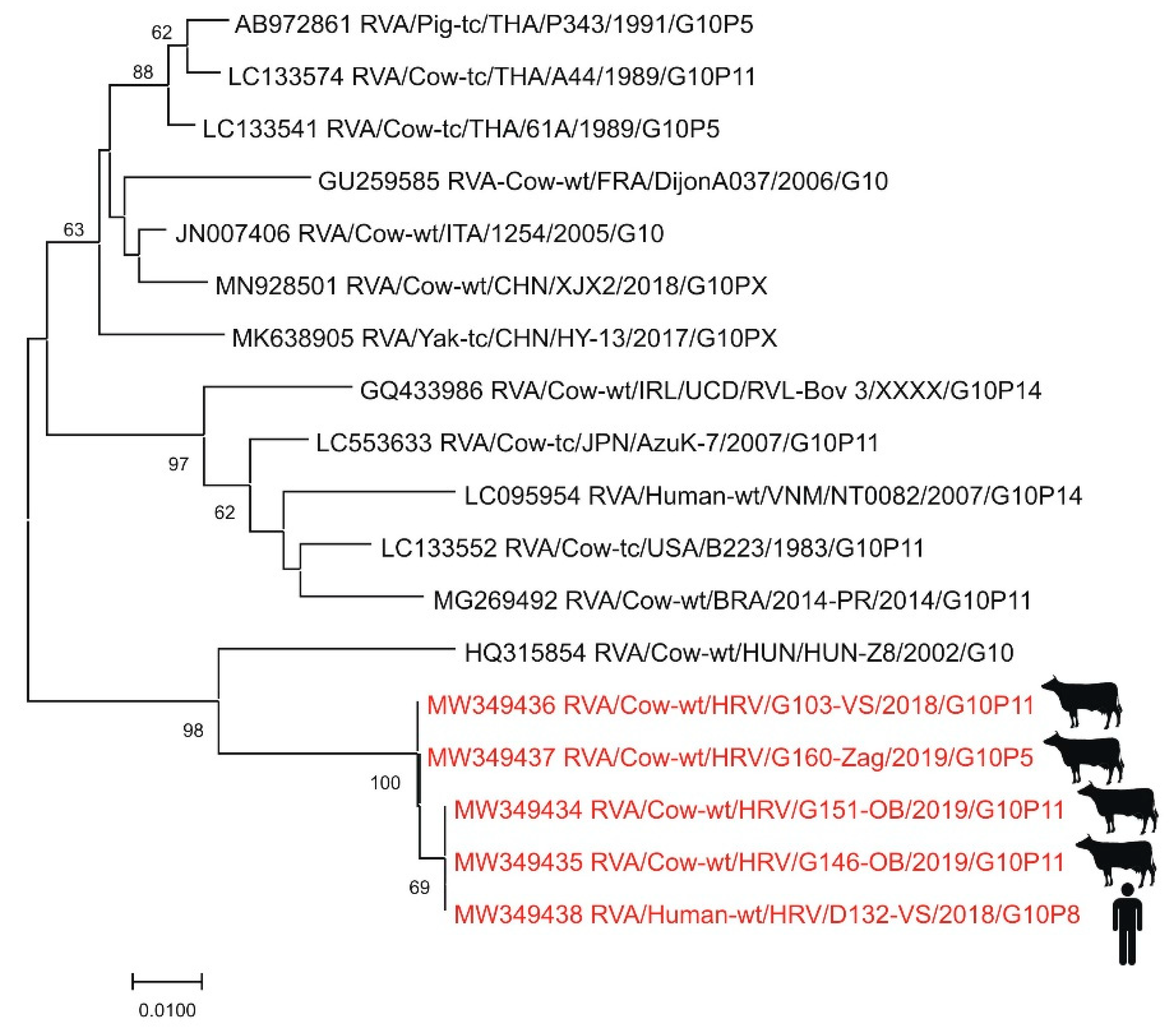 Pathogens 10 00073 g008