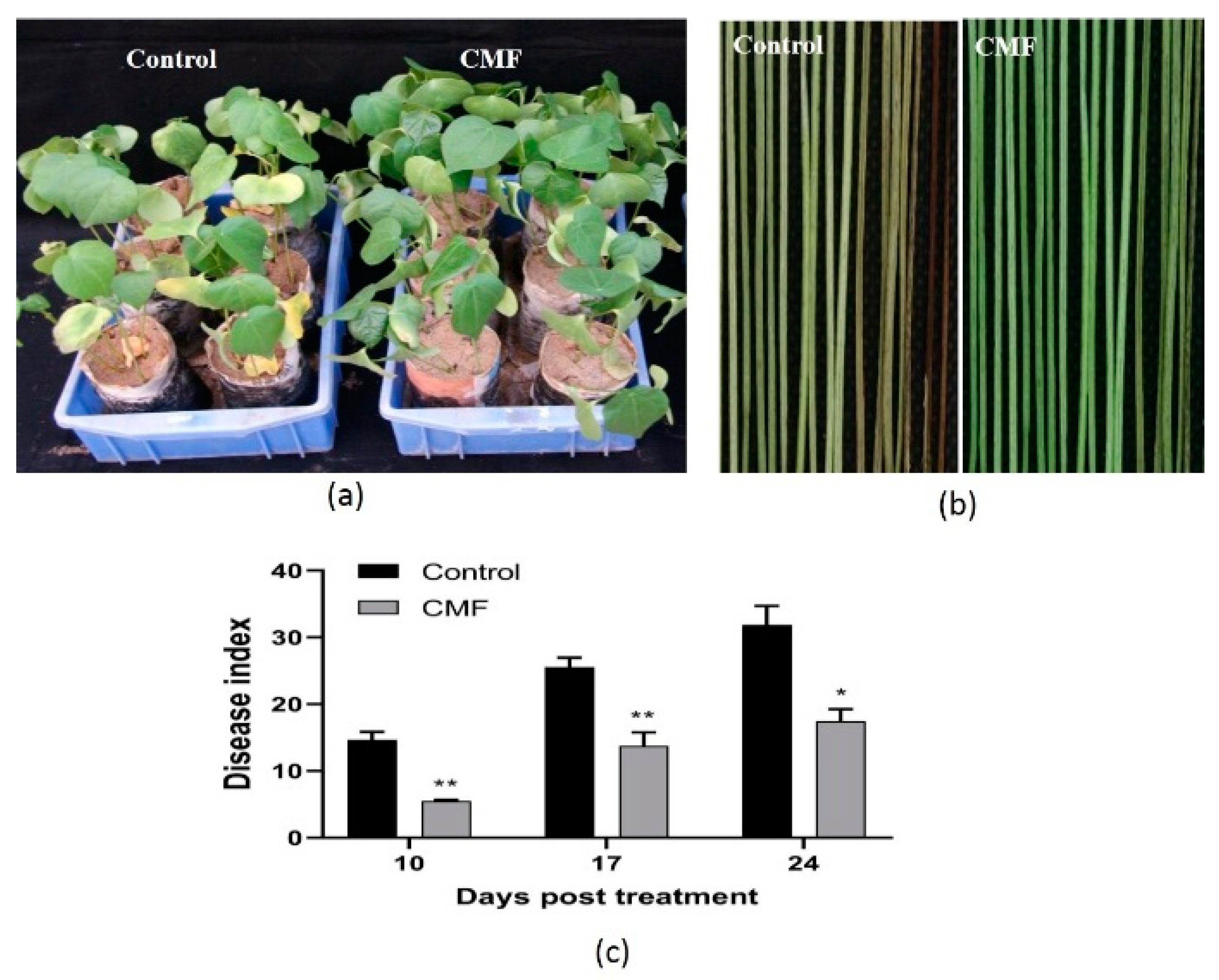 Pathogens 10 00081 g002