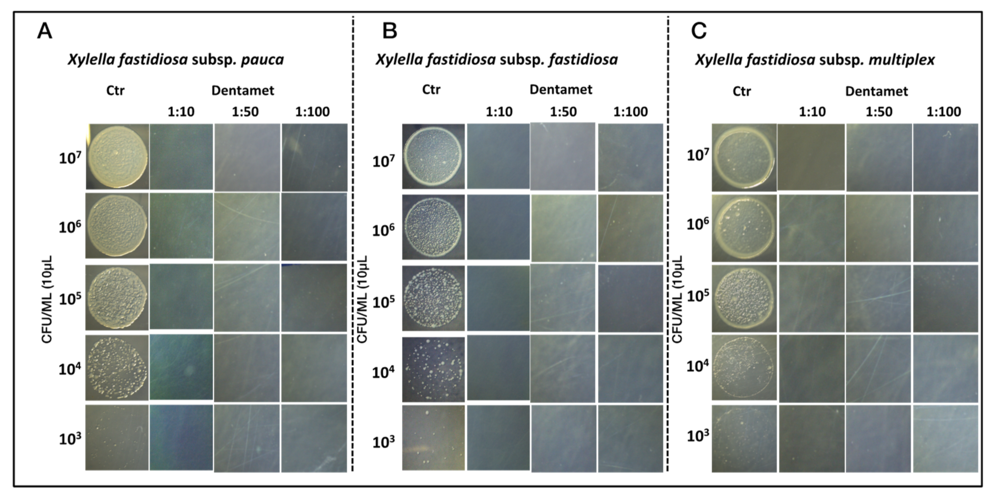Pathogens 10 00085 g003 Pathogens 10 00085 g003