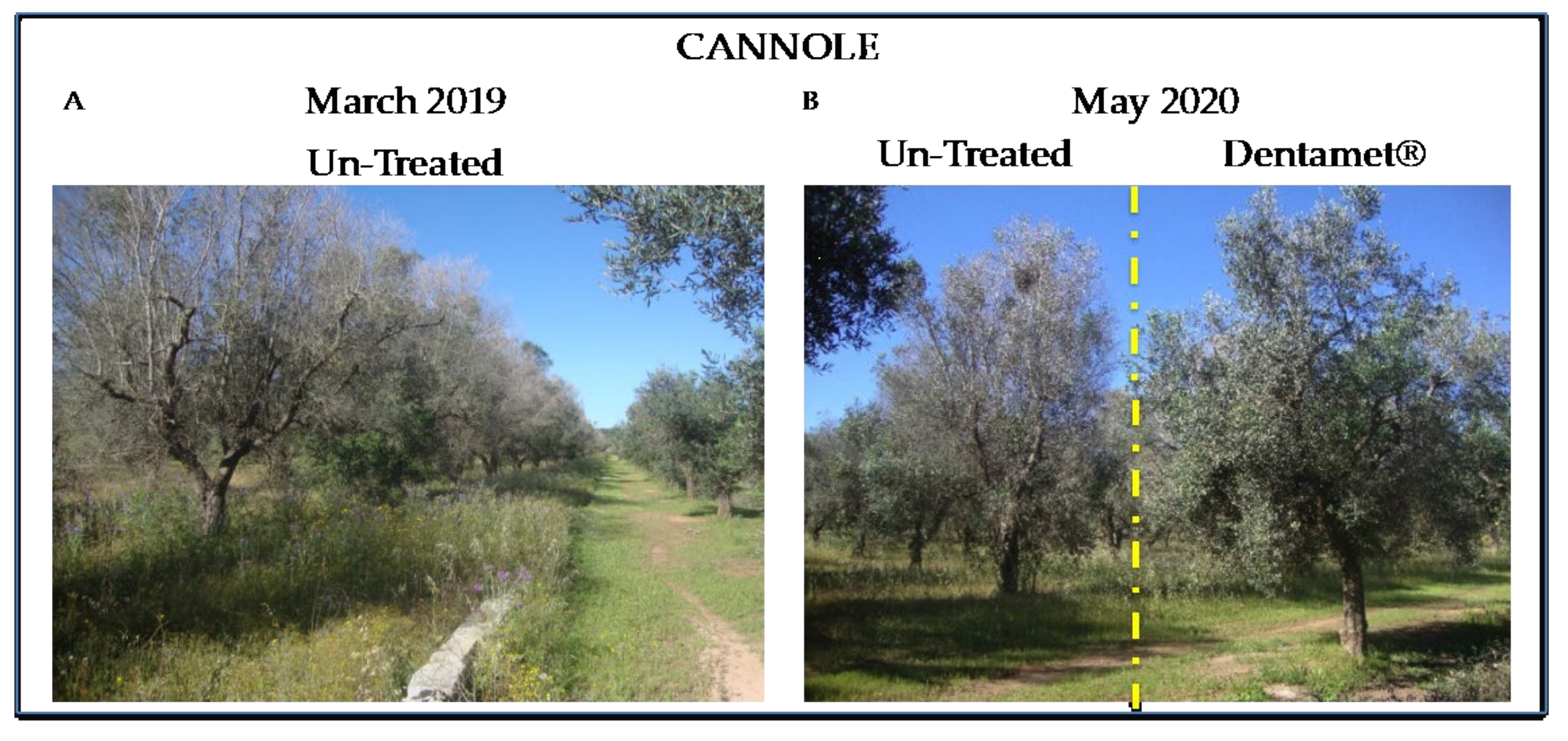 Pathogens 10 00085 g005 Pathogens 10 00085 g005