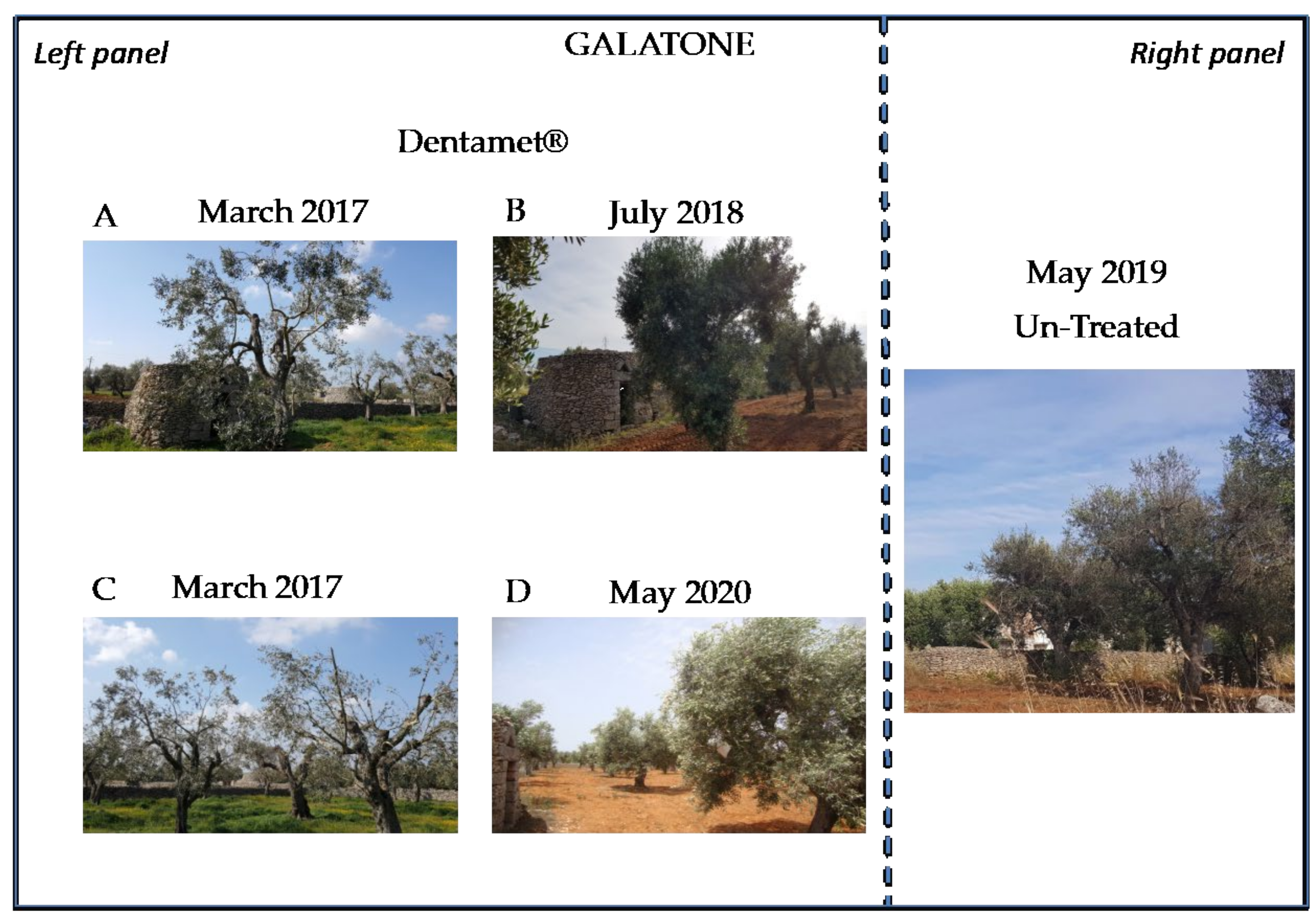 Pathogens 10 00085 g006 Pathogens 10 00085 g006