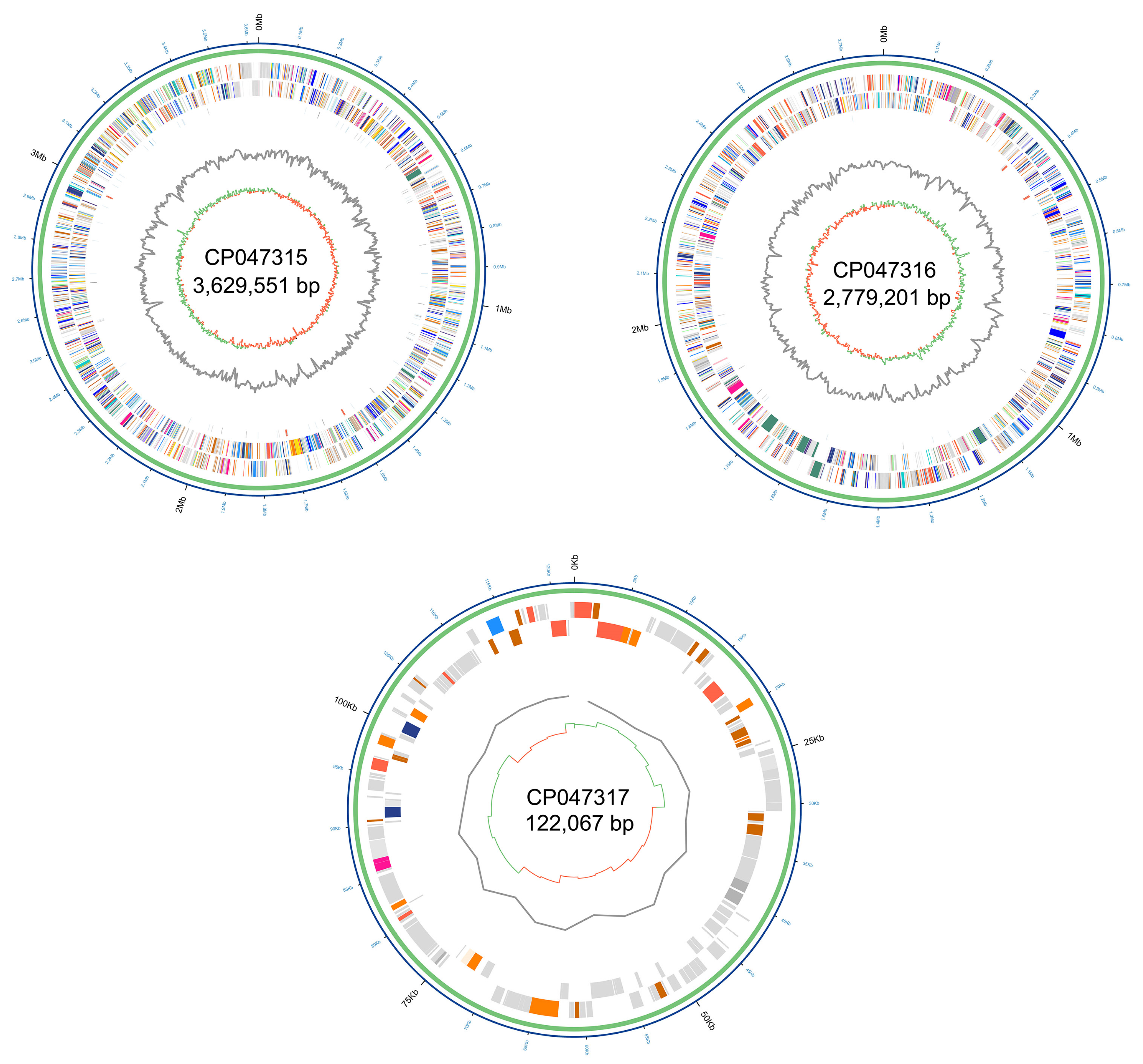 Pathogens 10 00087 g001 Pathogens 10 00087 g001