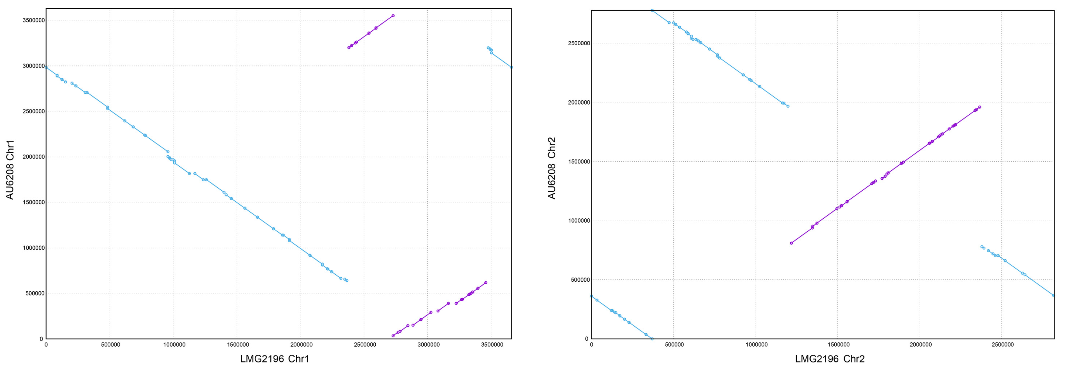 Pathogens 10 00087 g002 Pathogens 10 00087 g002