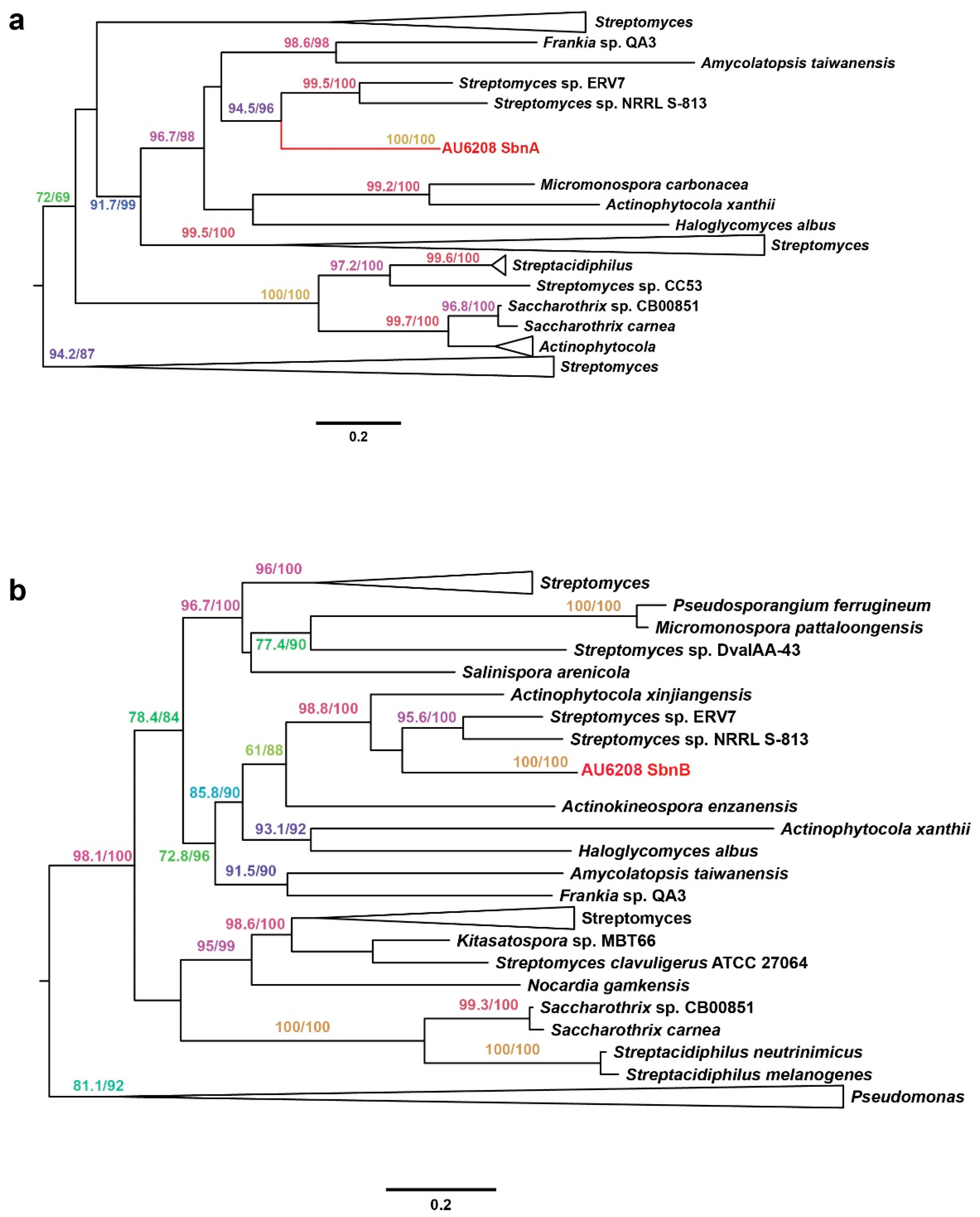 Pathogens 10 00087 g004 Pathogens 10 00087 g004