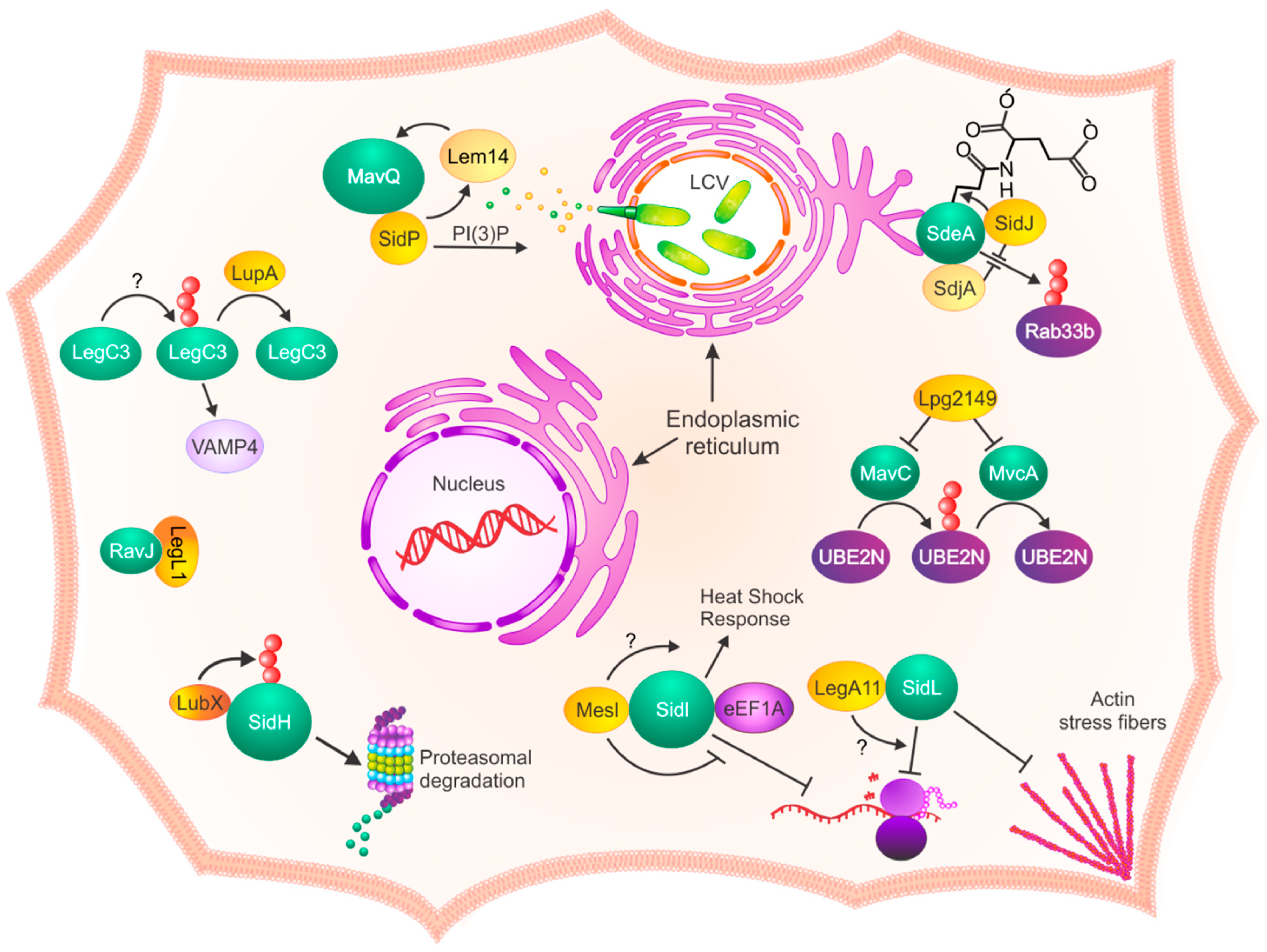 Pathogens 10 00108 g001 Pathogens 10 00108 g001