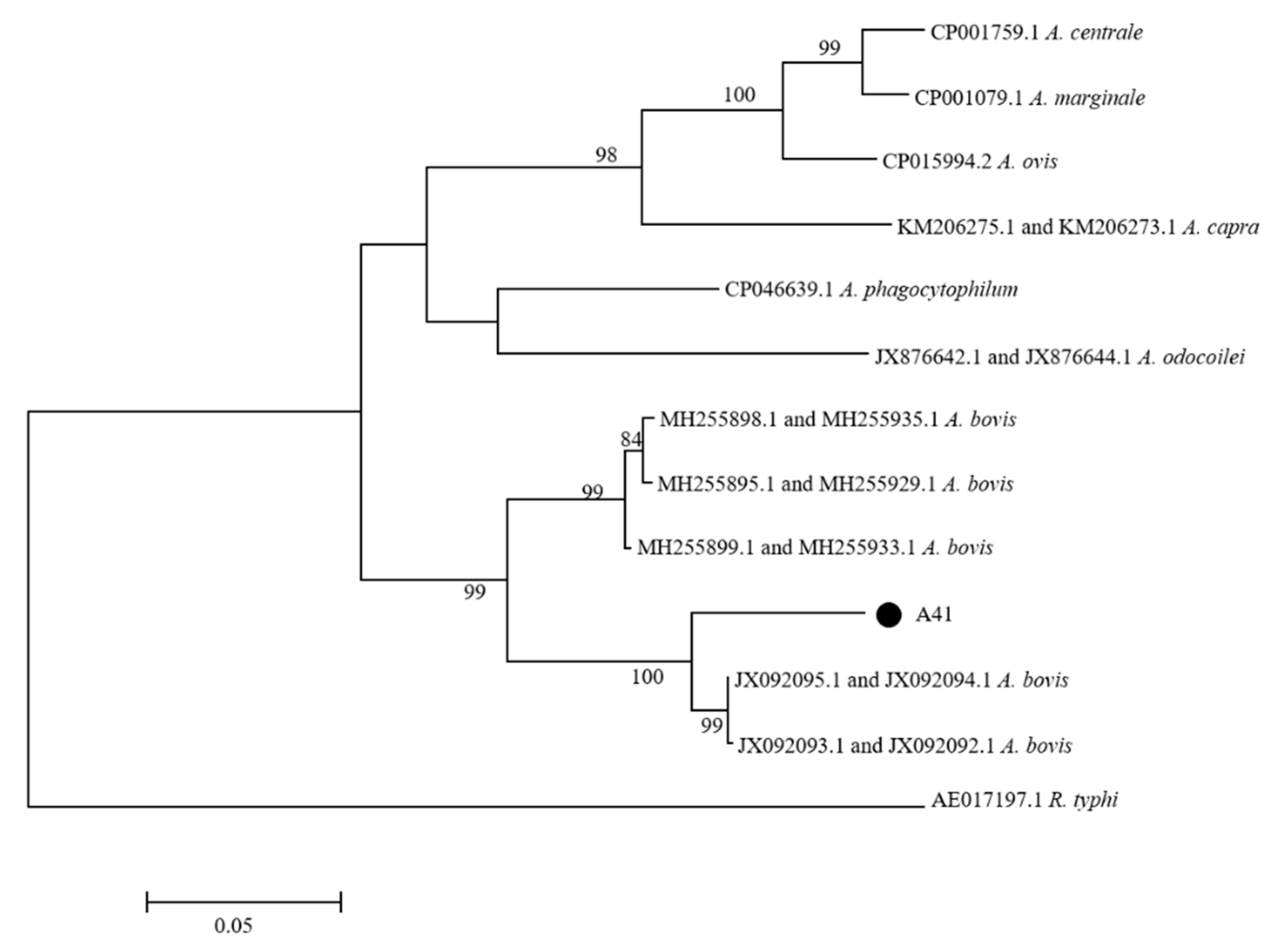 Pathogens 10 00115 g004 Pathogens 10 00115 g004