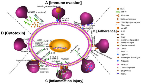 Pathogens 10 00119 g002 550