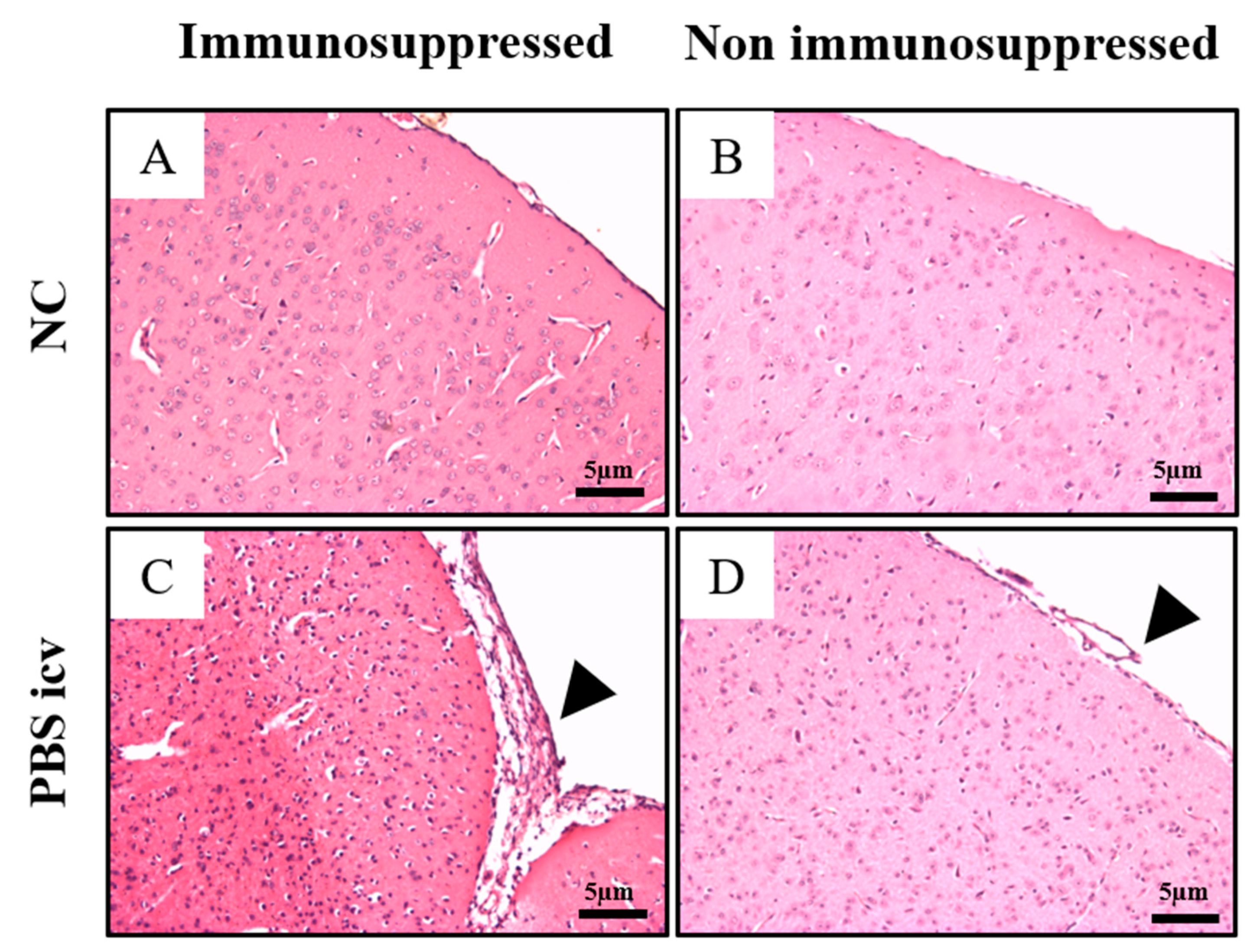 Pathogens 10 00121 g002