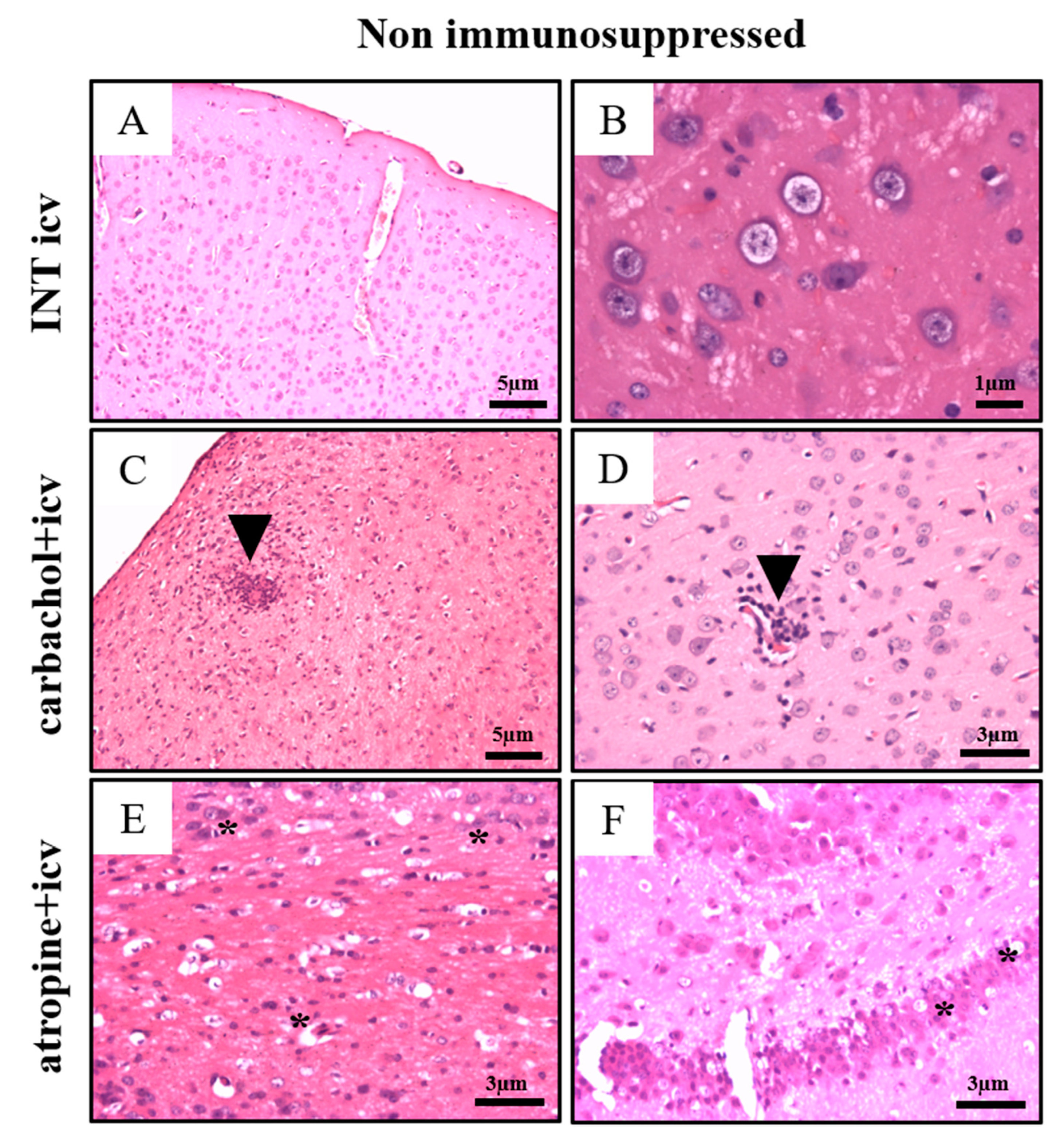 Pathogens 10 00121 g005