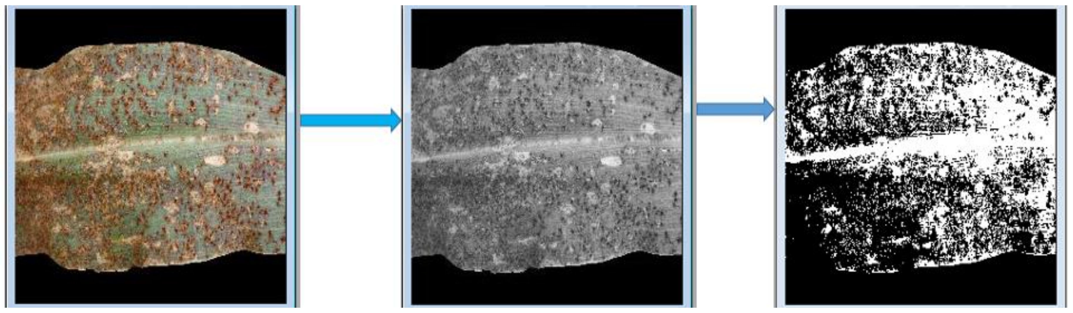 Pathogens 10 00131 g002 Pathogens 10 00131 g002