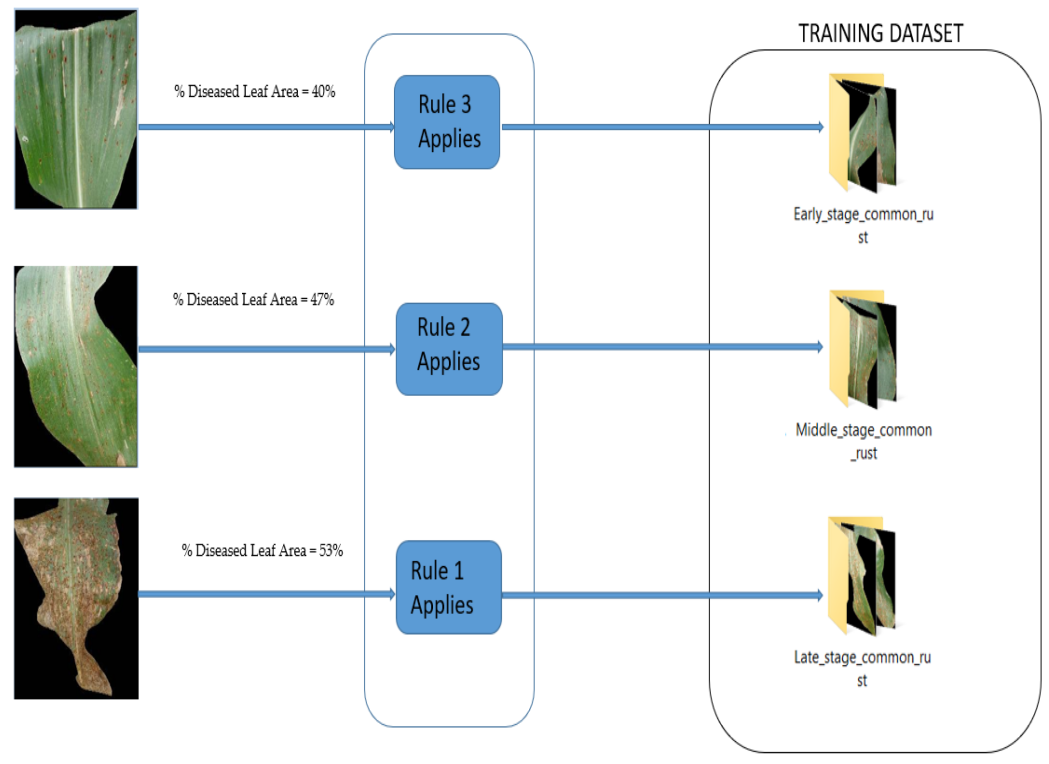 Pathogens 10 00131 g004 Pathogens 10 00131 g004