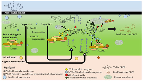 Pathogens 10 00133 g004 550