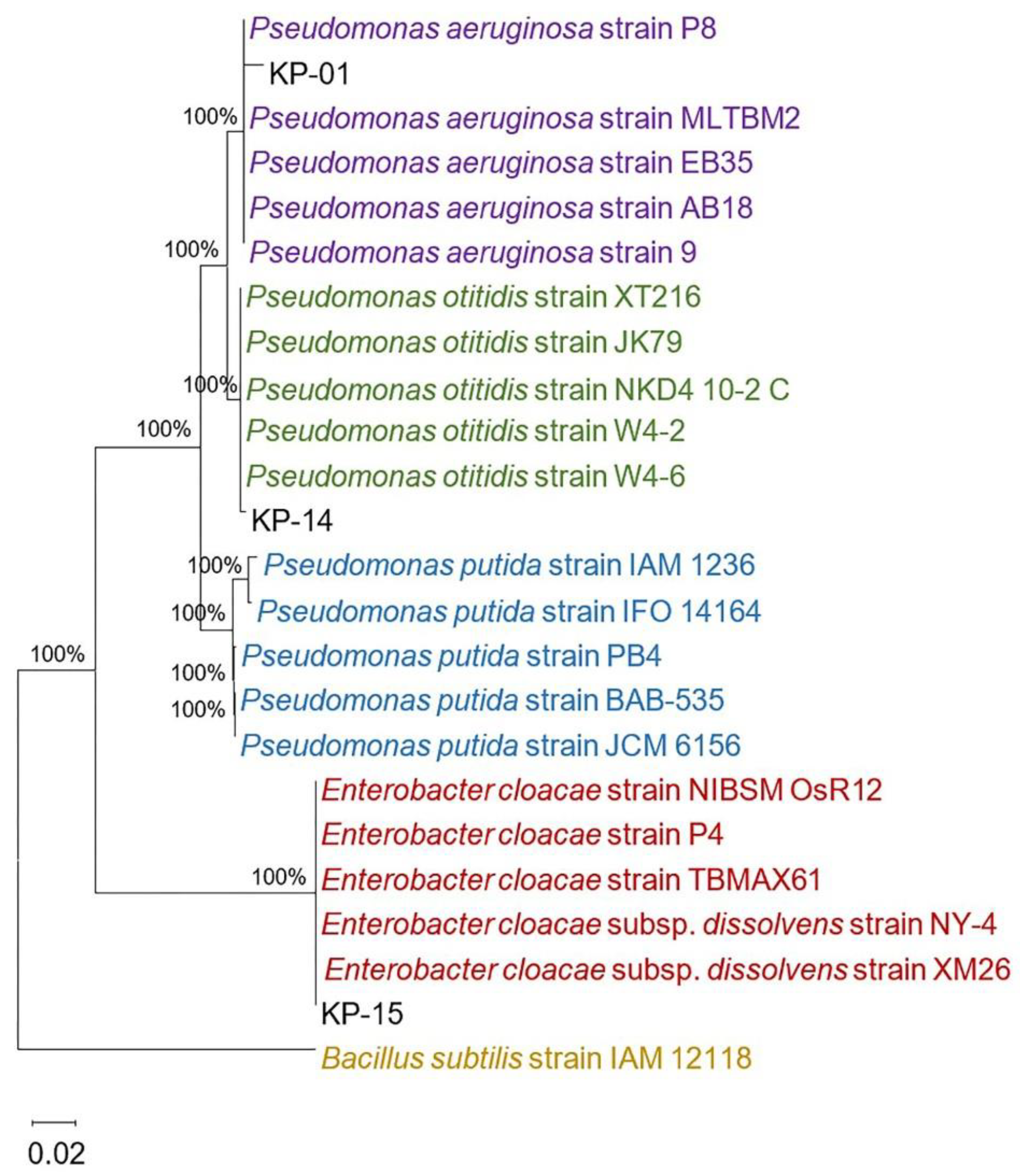 Pathogens 10 00142 g005
