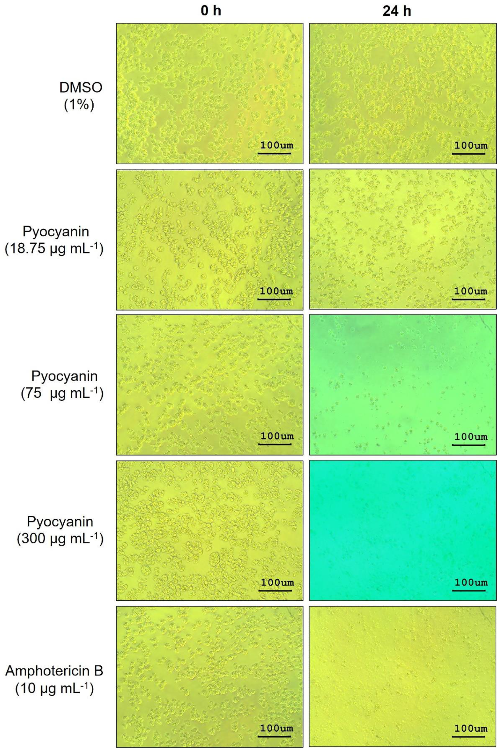 Pathogens 10 00142 g007