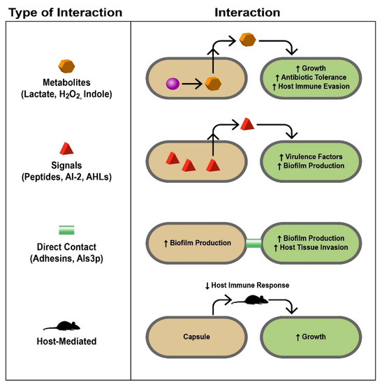 Pathogens 10 00144 g002 550