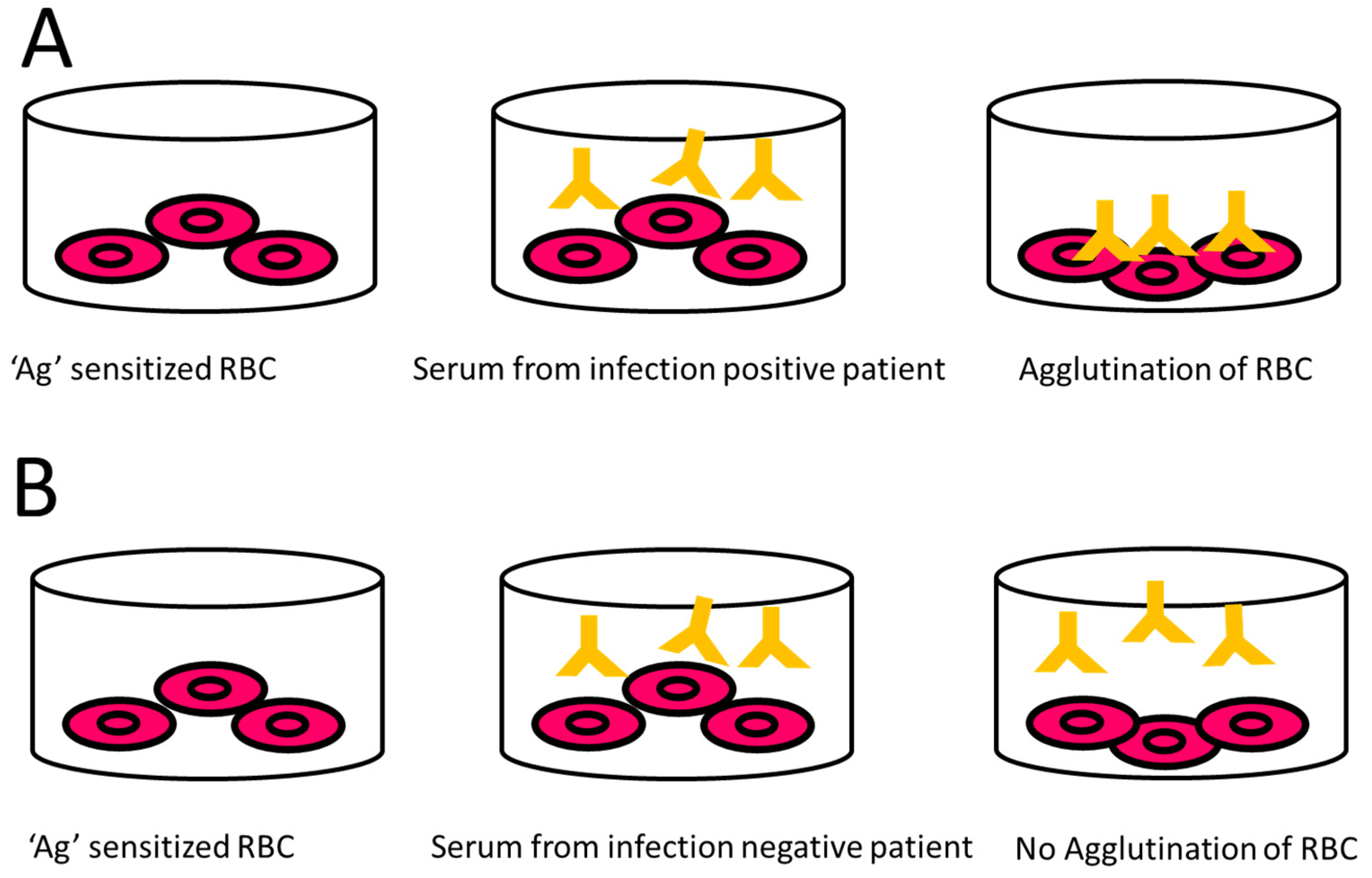Pathogens 10 00145 g007 Pathogens 10 00145 g007