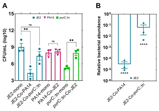 Interspecies Metabolic Complementation in Cystic Fibrosis Pathogens via ...