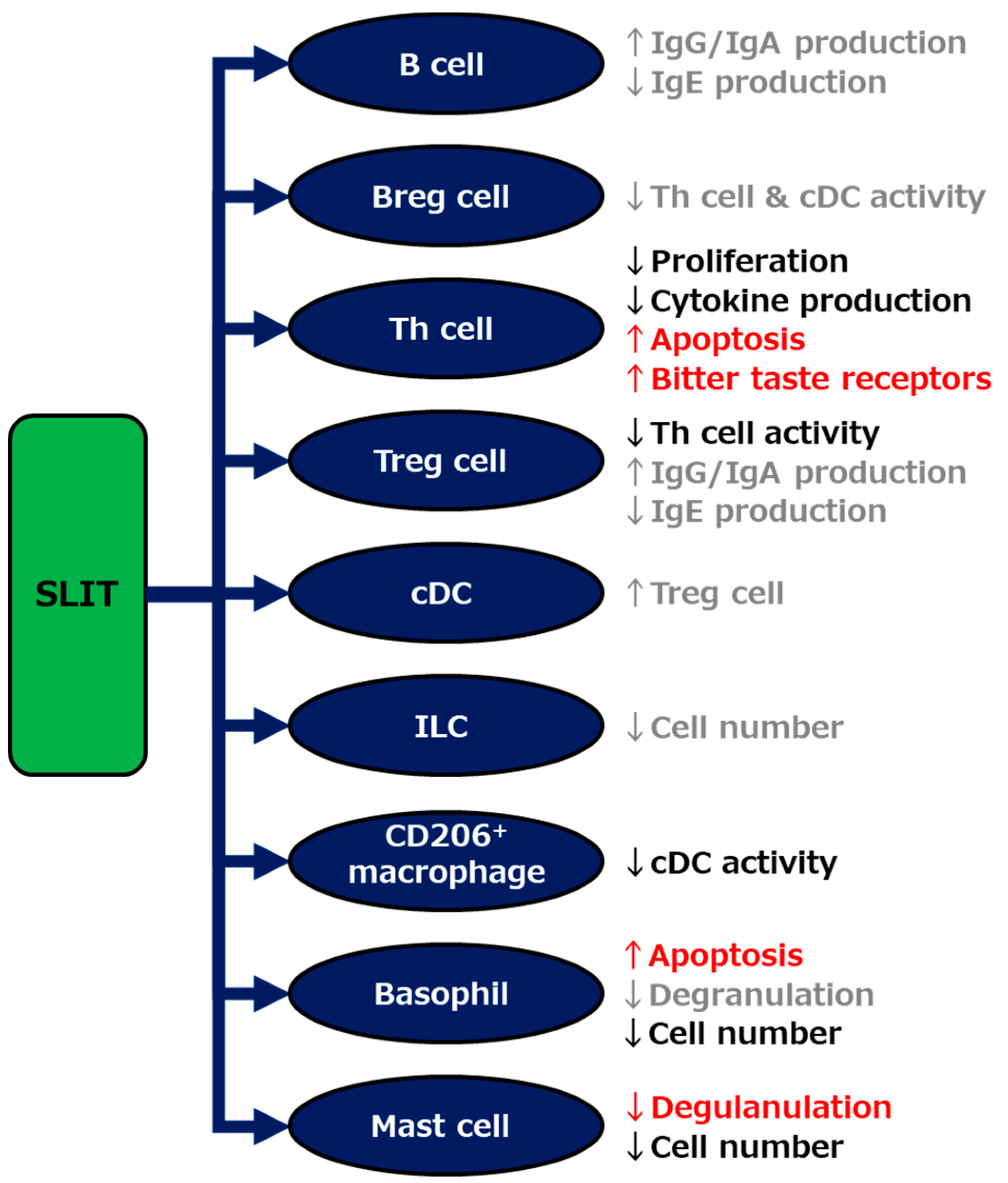 How Much Does Sublingual Immunotherapy Cost Pathogens | Free Full-Text | Sublingual Immunotherapy: How Sublingual