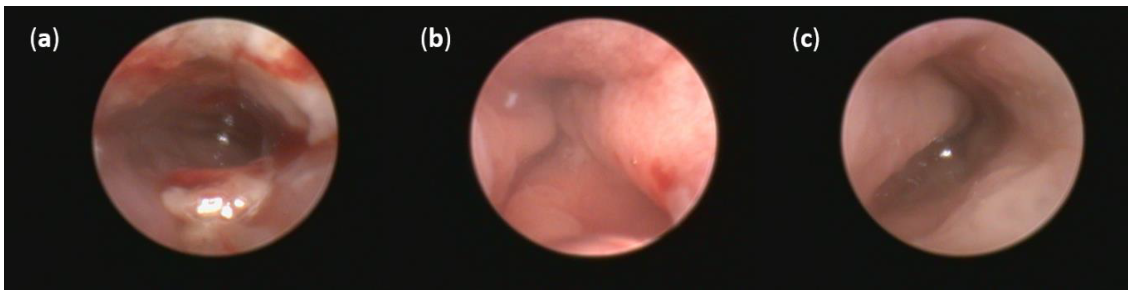 Pathogens 10 00152 g005 Pathogens 10 00152 g005