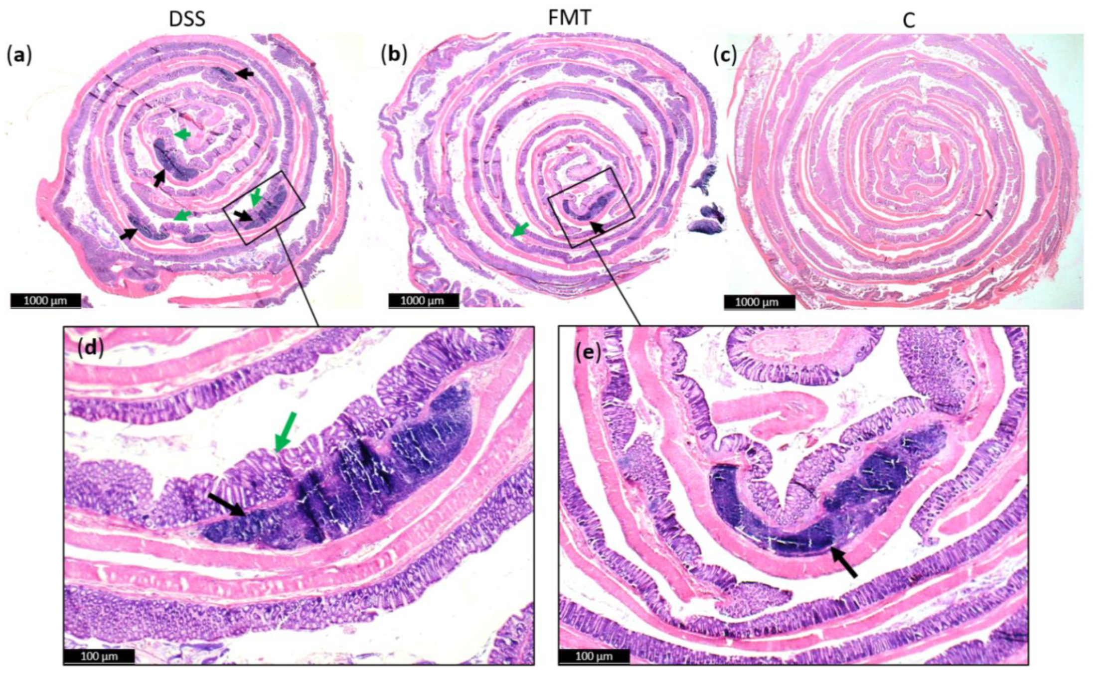 Pathogens 10 00152 g006 Pathogens 10 00152 g006