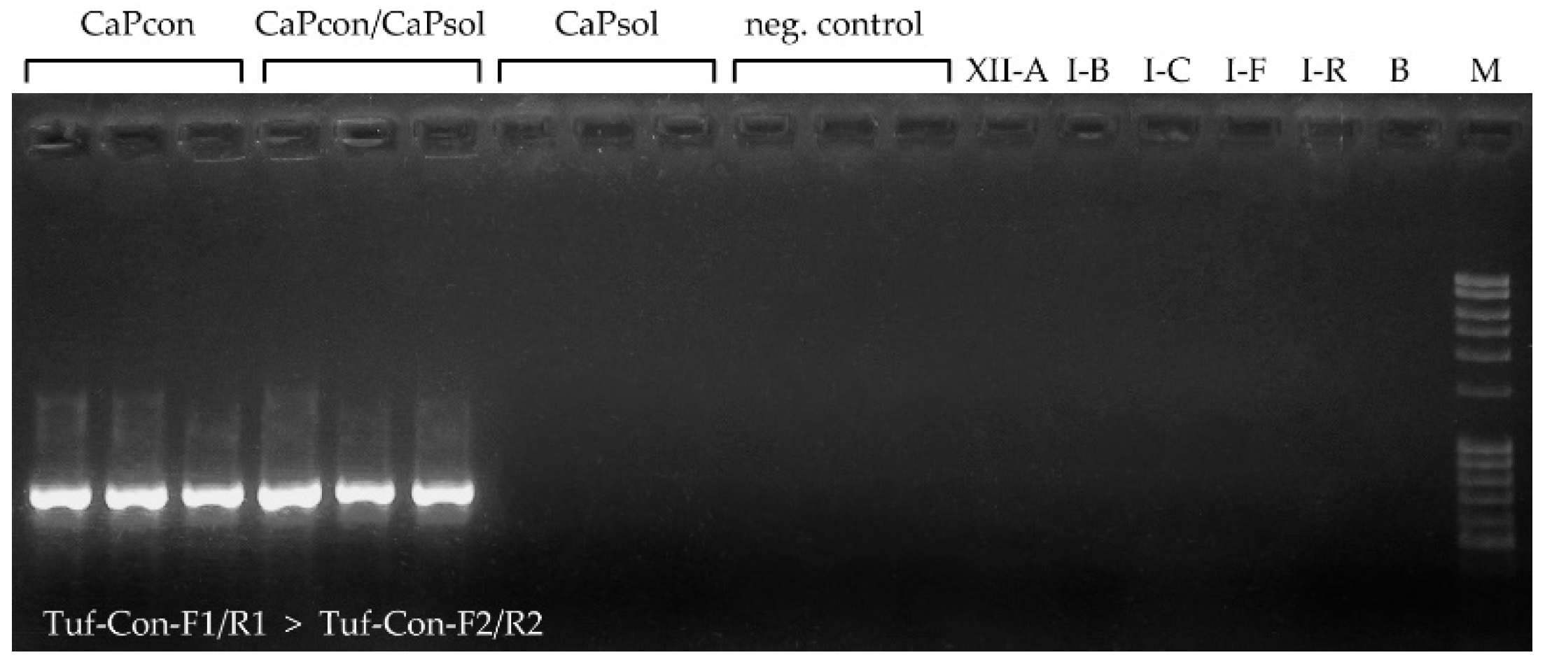 Pathogens 10 00160 g003 Pathogens 10 00160 g003