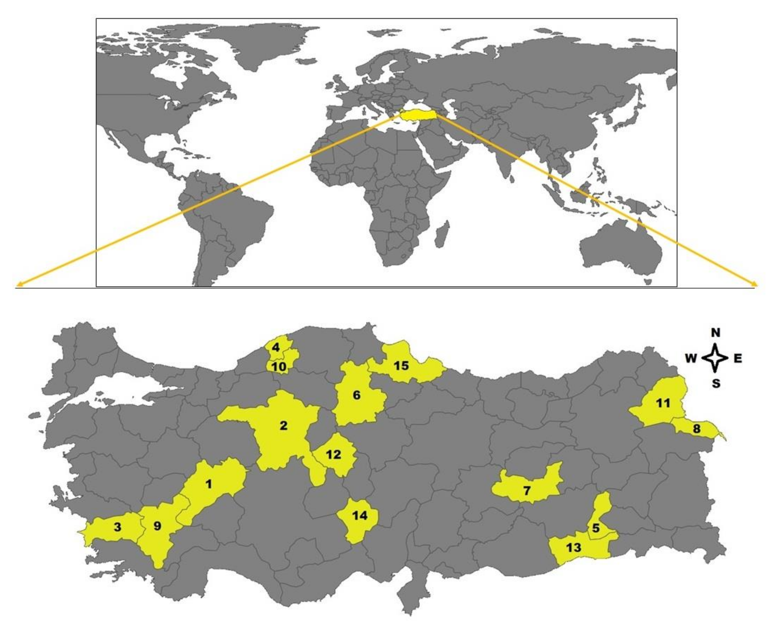 Pathogens 10 00162 g005