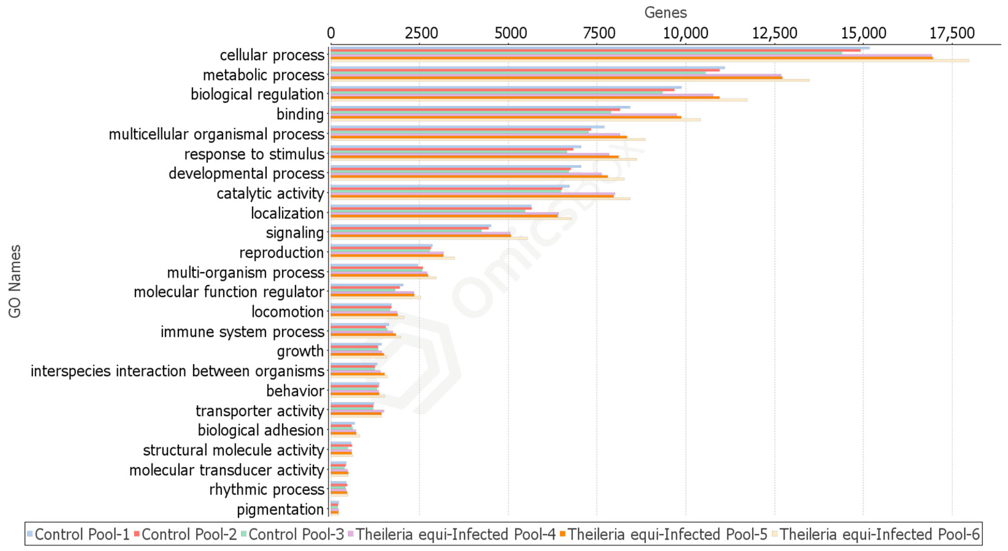 Pathogens 10 00167 g001 Pathogens 10 00167 g001