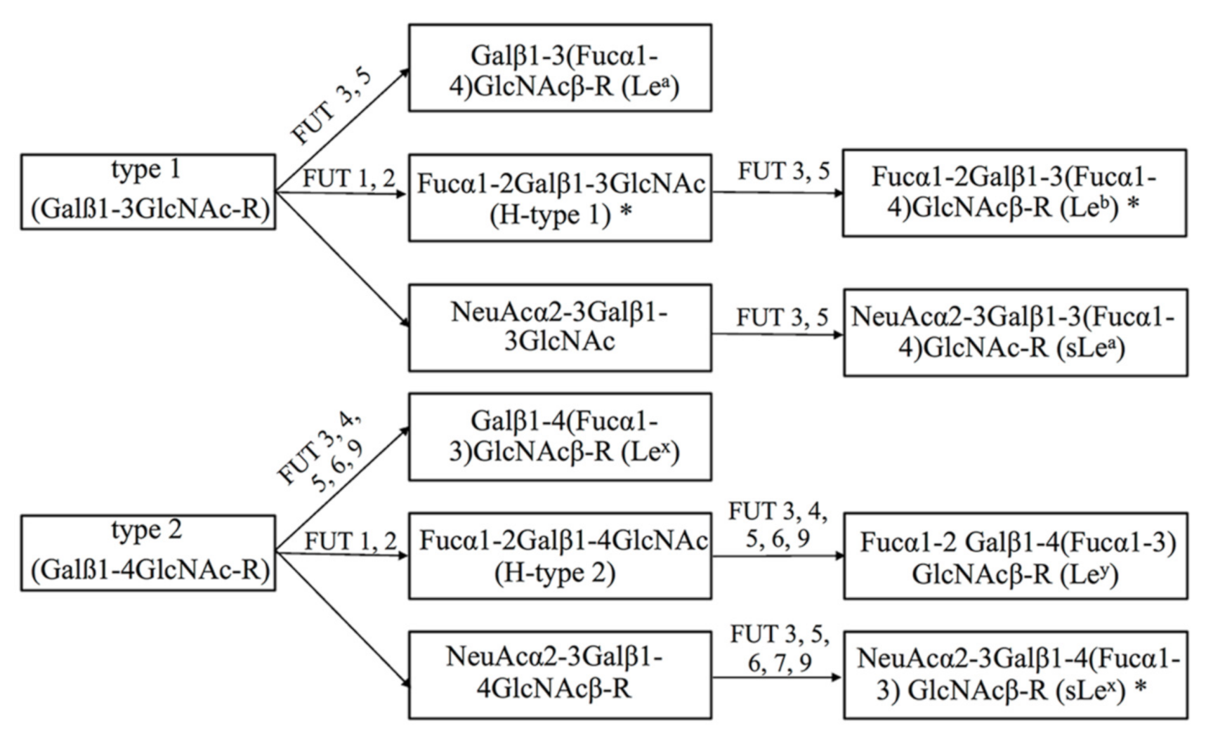 Pathogens 10 00168 g001 Pathogens 10 00168 g001