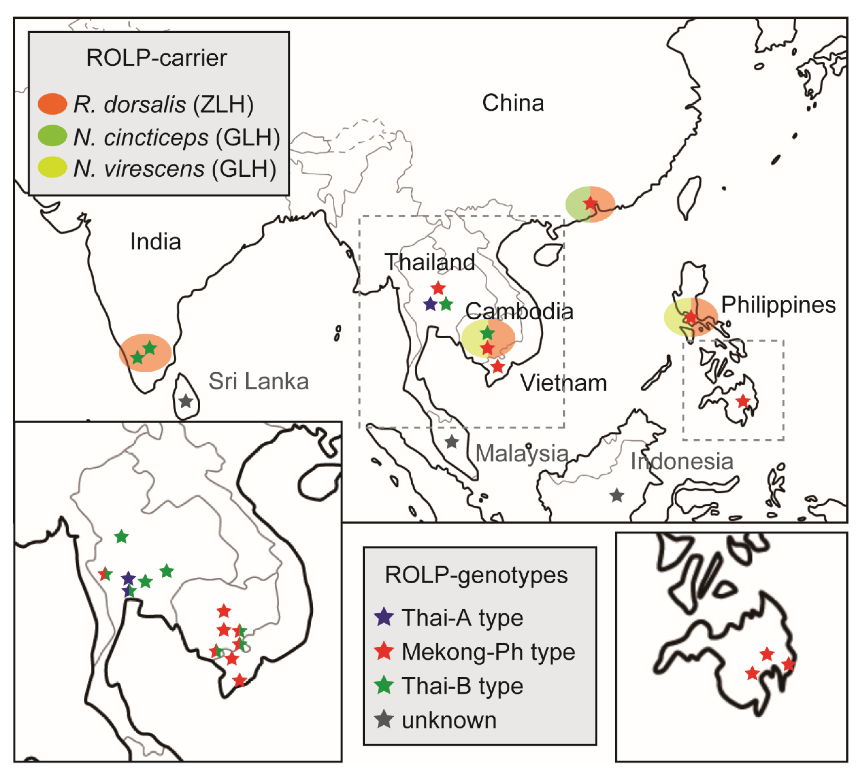 Pathogens 10 00169 g007