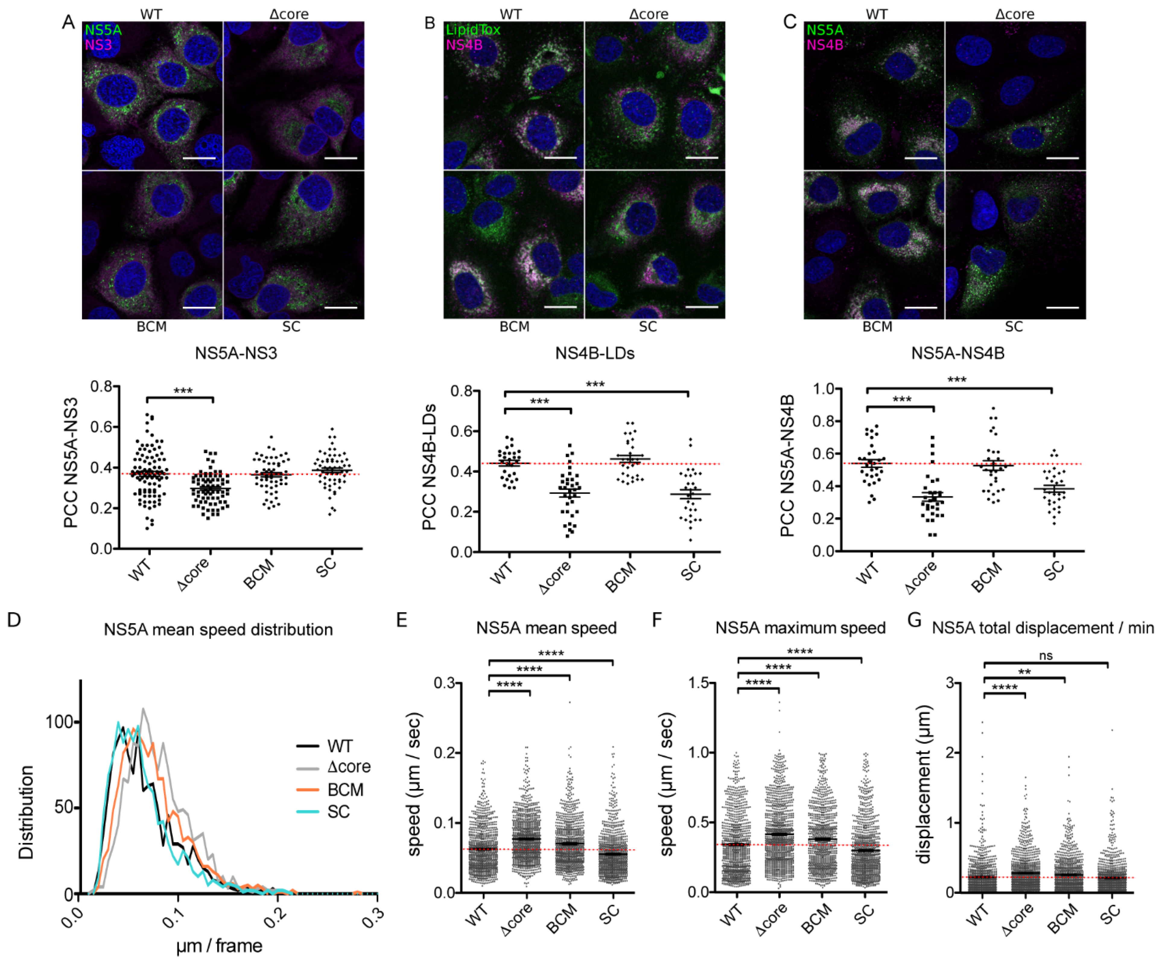 Pathogens 10 00172 g004 Pathogens 10 00172 g004