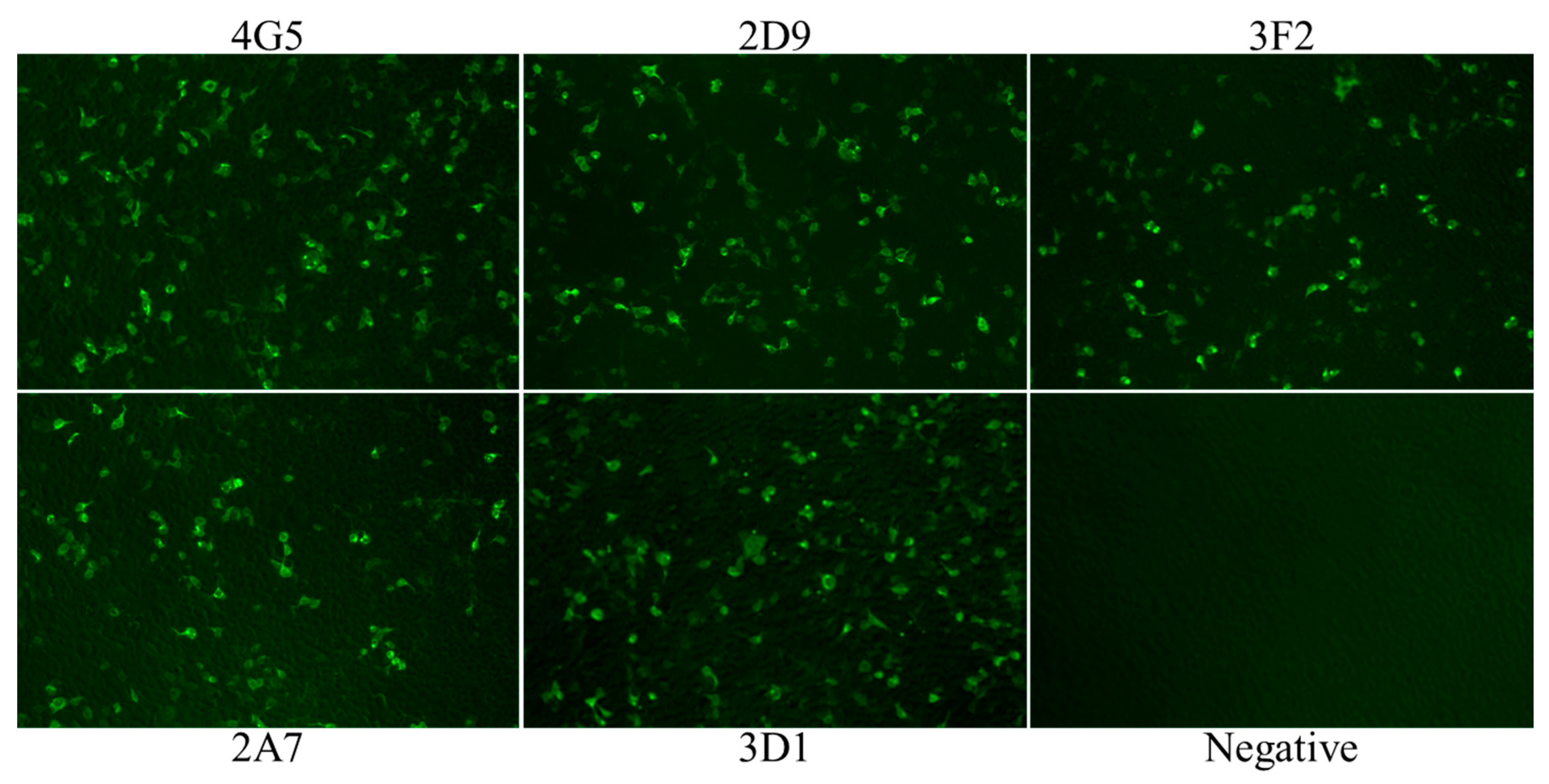 Pathogens 10 00178 g002 Pathogens 10 00178 g002