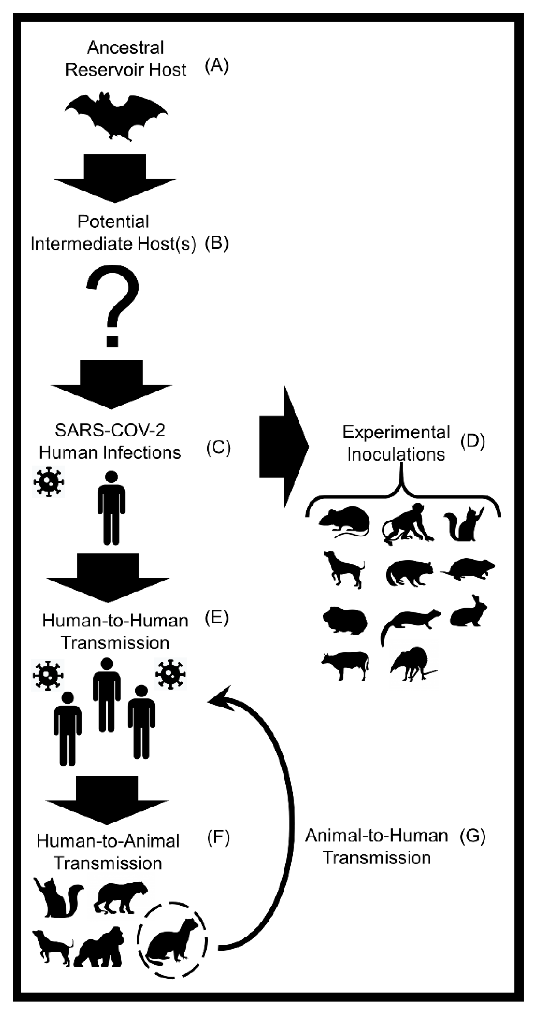 Pathogens | Free Full-Text | Host Diversity and Potential 