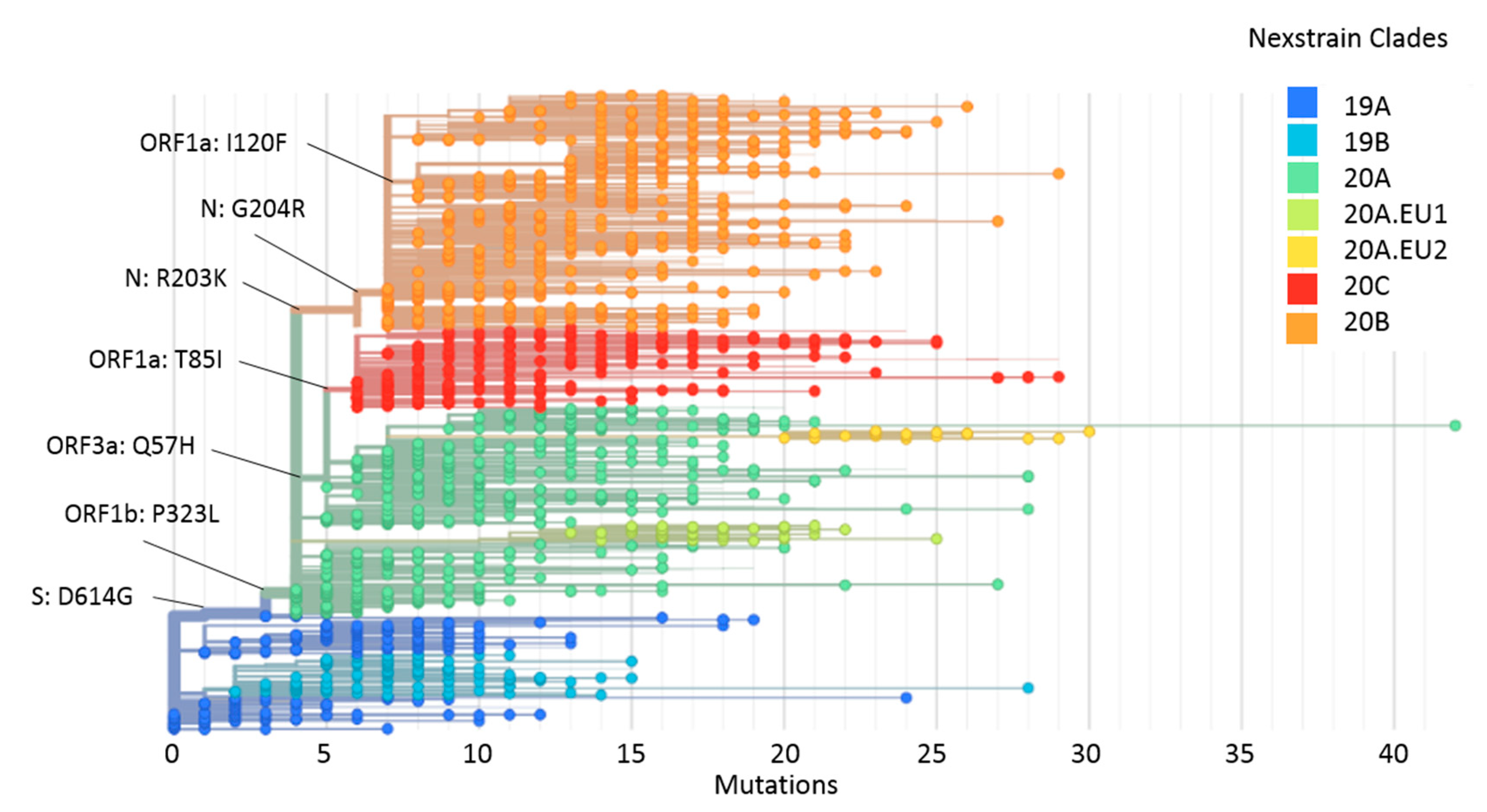 Pathogens 10 00184 g004 Pathogens 10 00184 g004